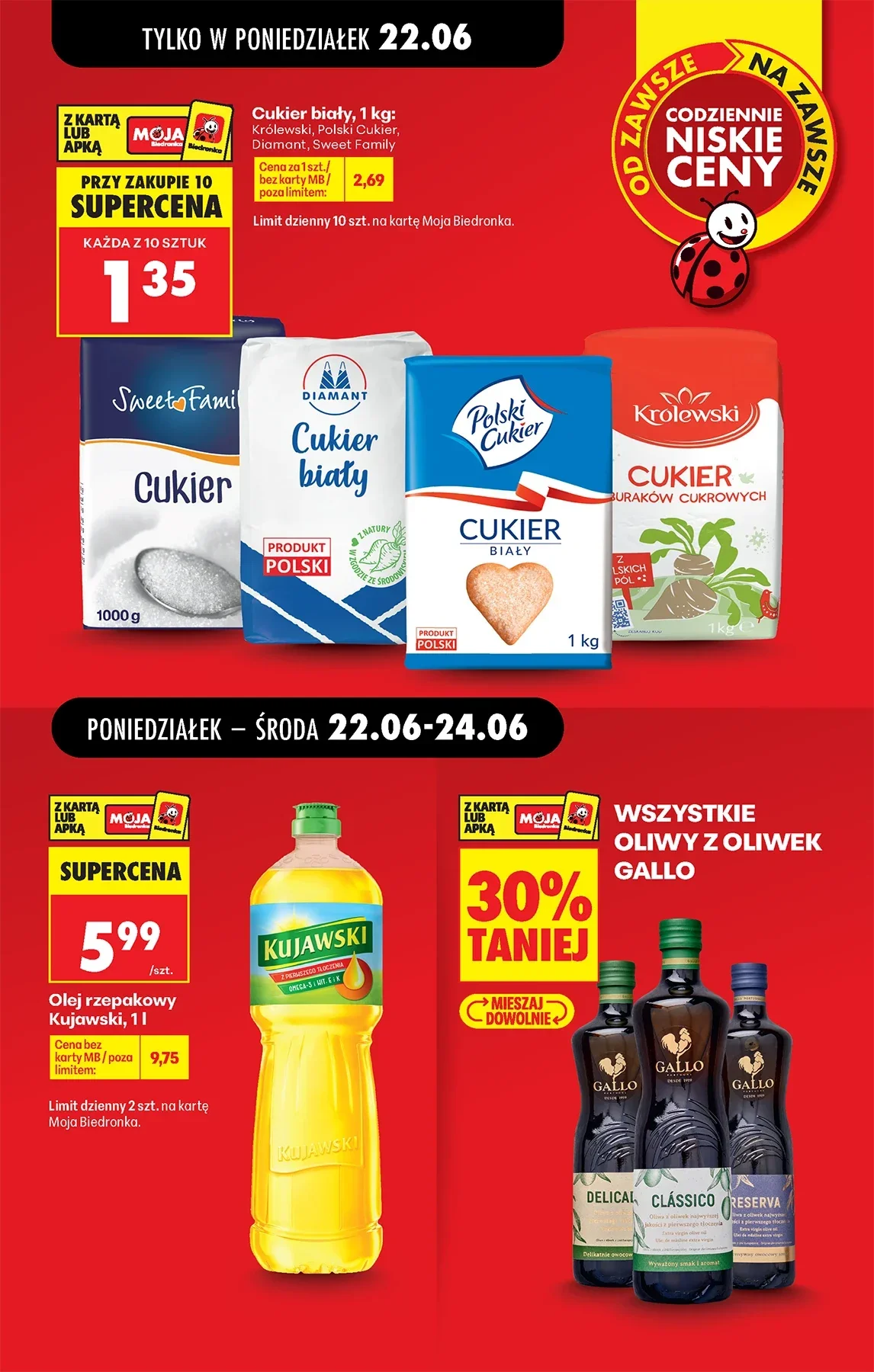 Gazetka promocyjna Biedronka str. 13