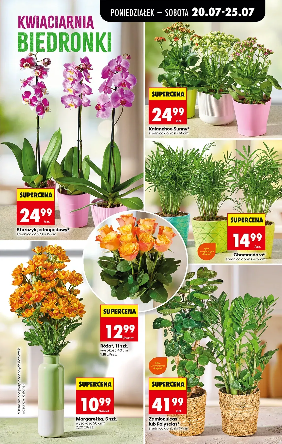 Gazetka promocyjna Biedronka str. 62