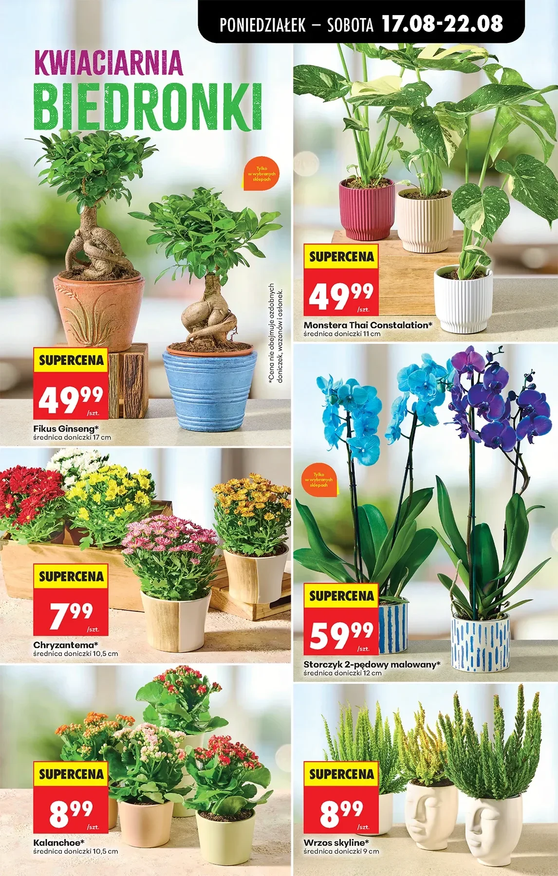 Gazetka promocyjna Biedronka str. 57