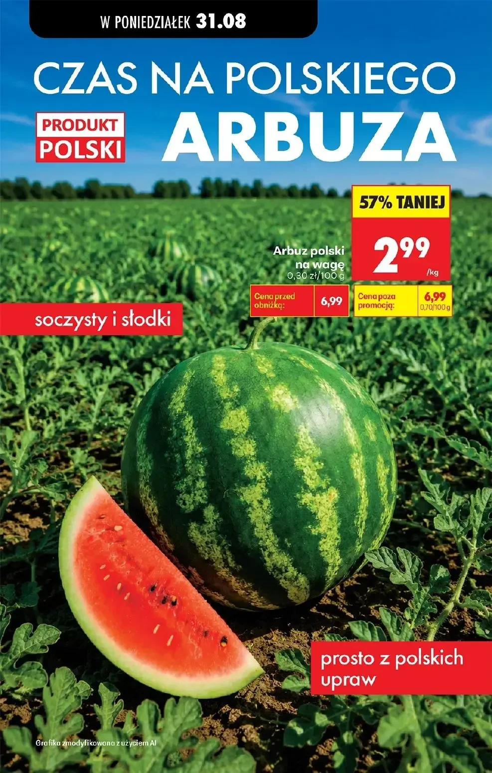 Gazetka promocyjna Biedronka str. 61