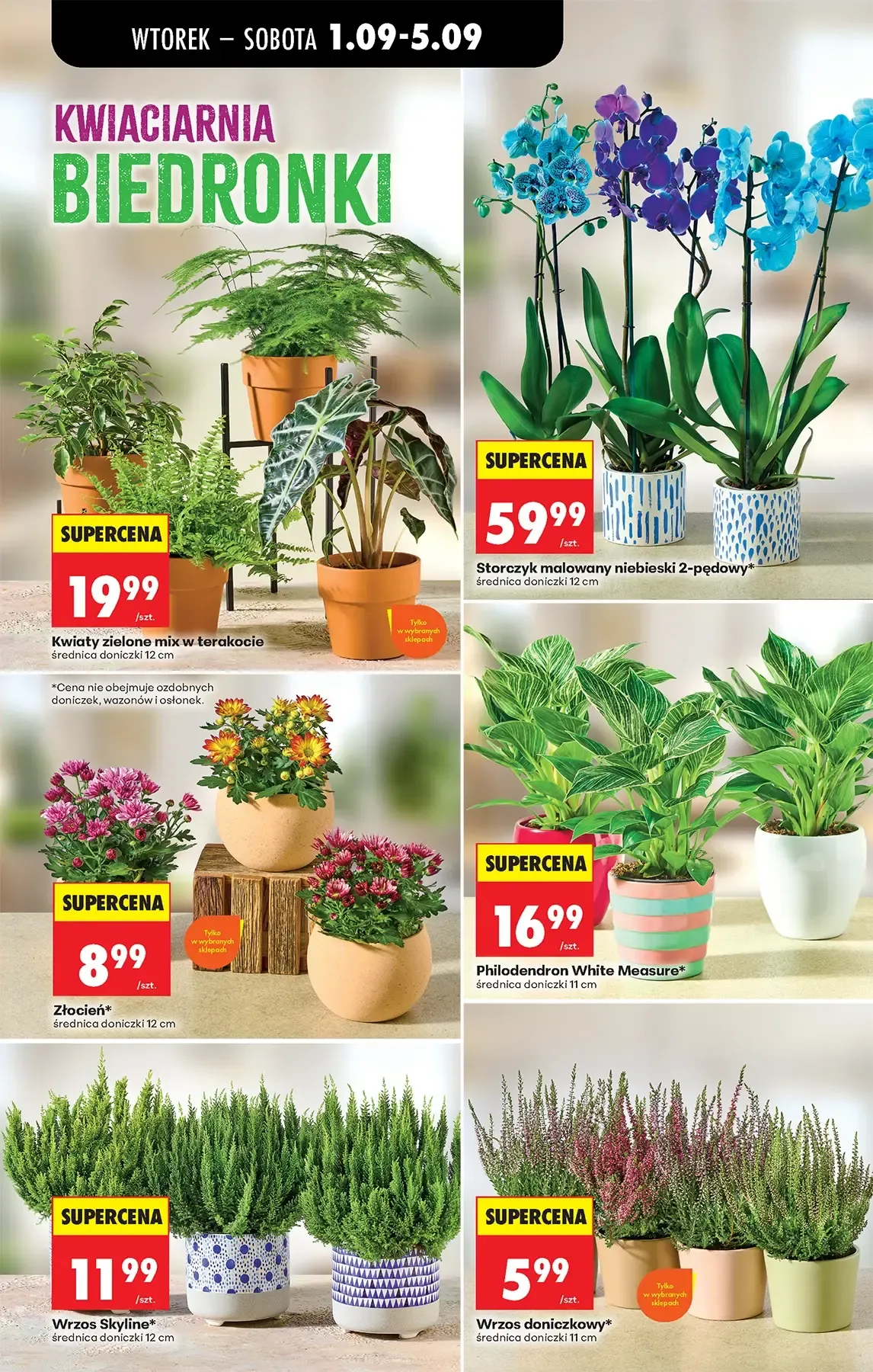 Gazetka promocyjna Biedronka str. 75
