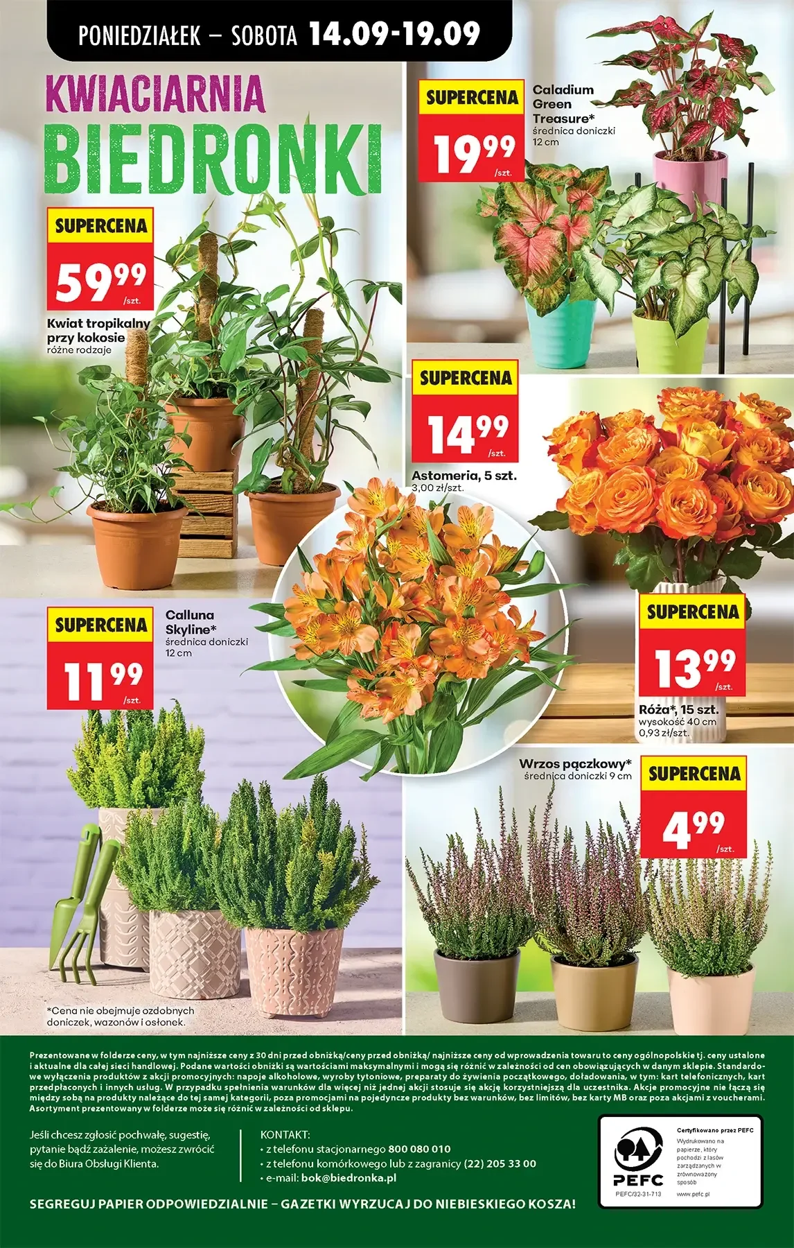 Gazetka promocyjna Biedronka str. 64