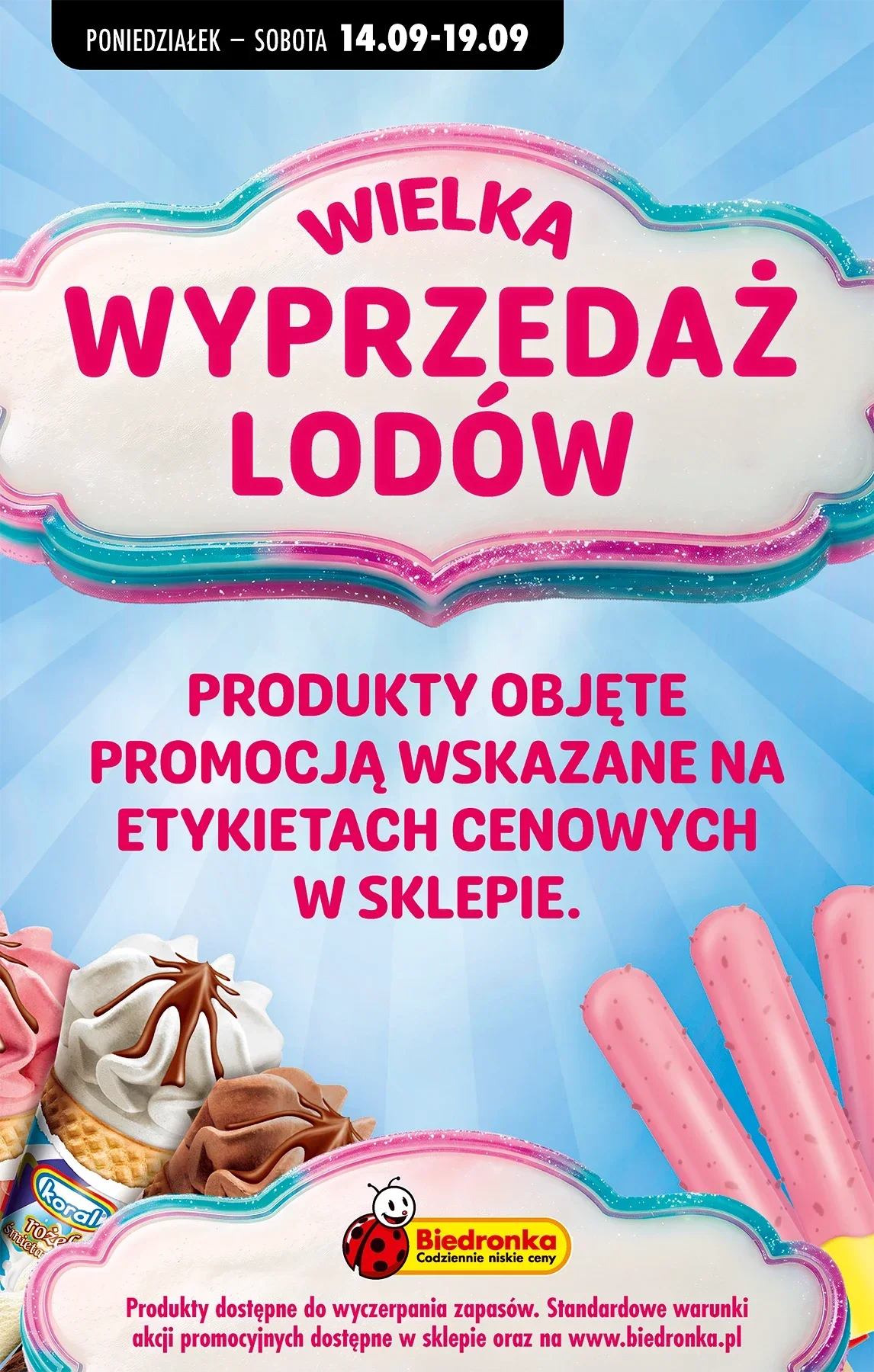 Gazetka promocyjna Biedronka str. 37
