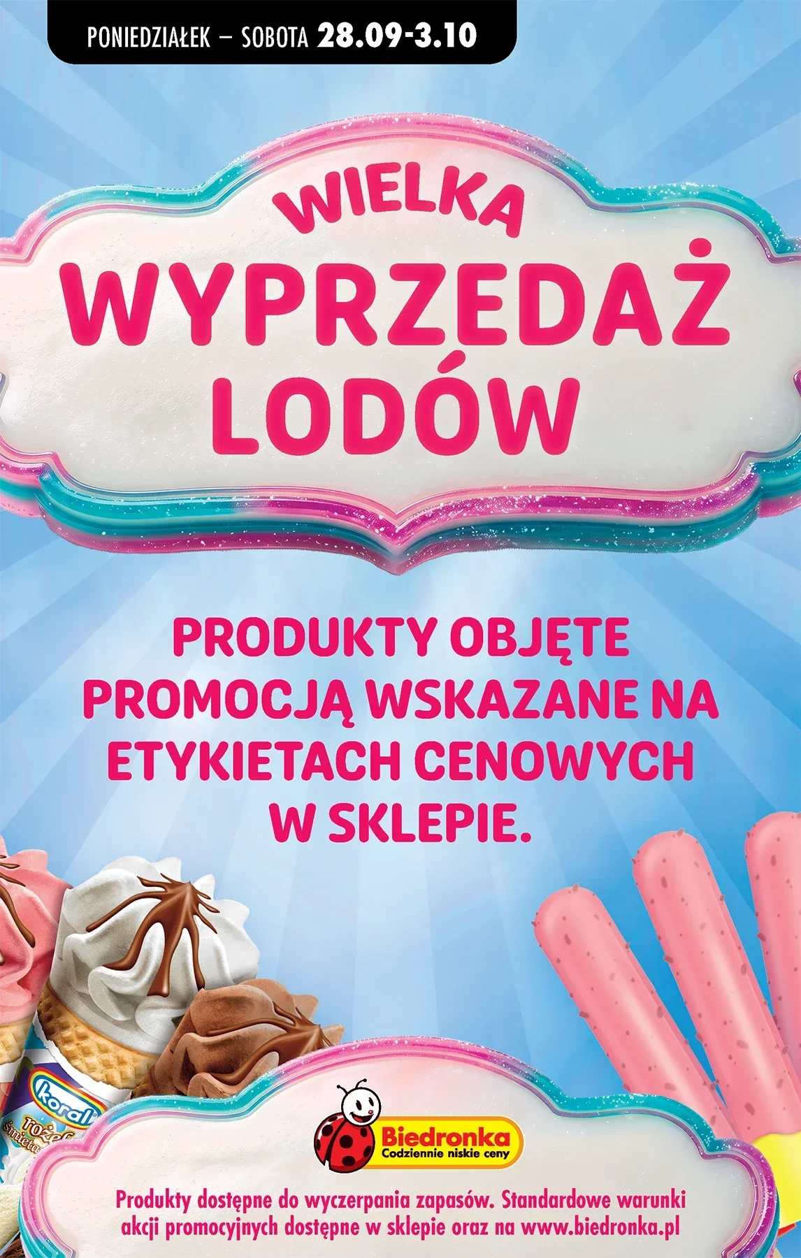 Gazetka promocyjna Biedronka str. 103