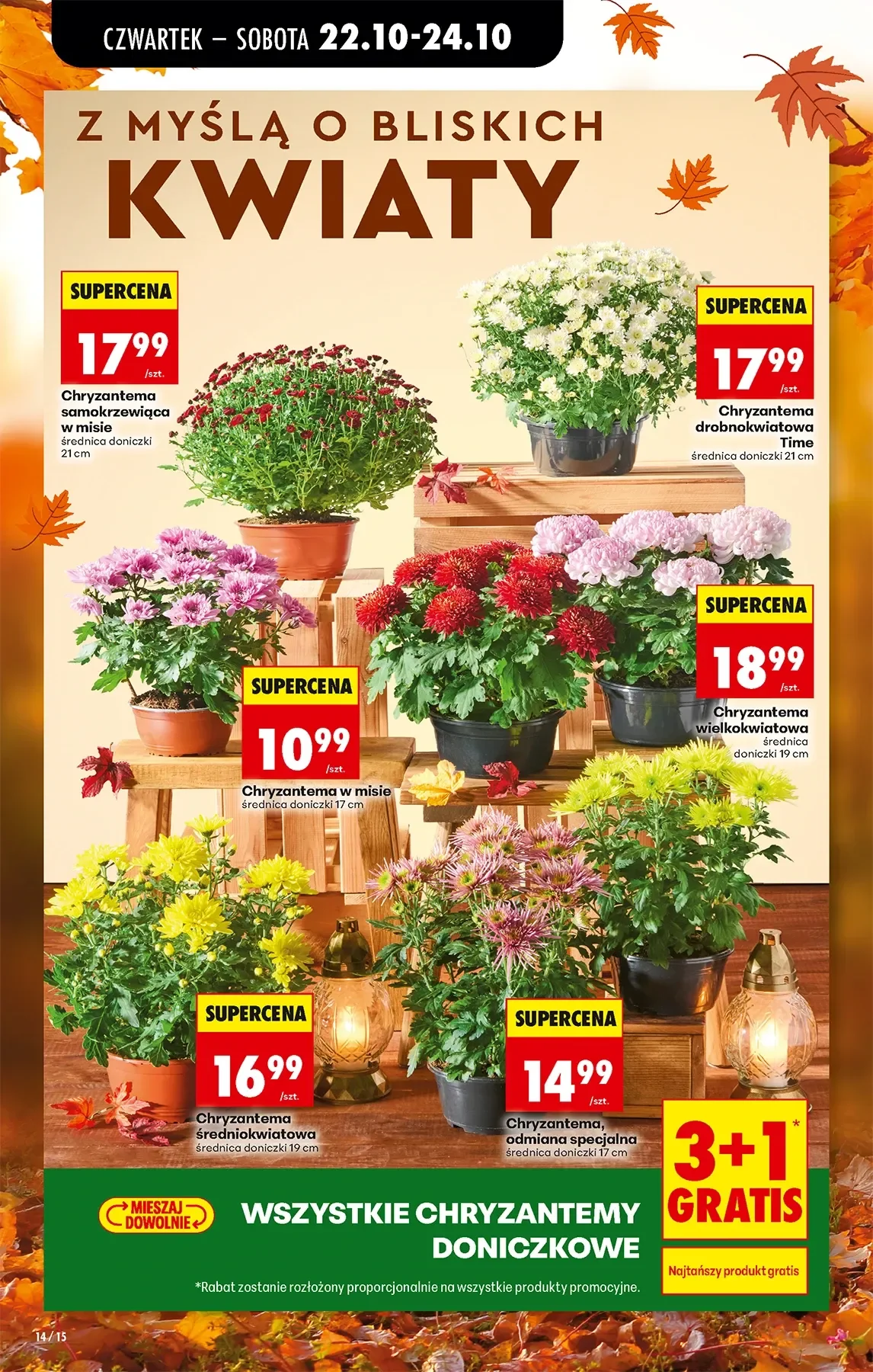 Gazetka promocyjna Biedronka str. 13