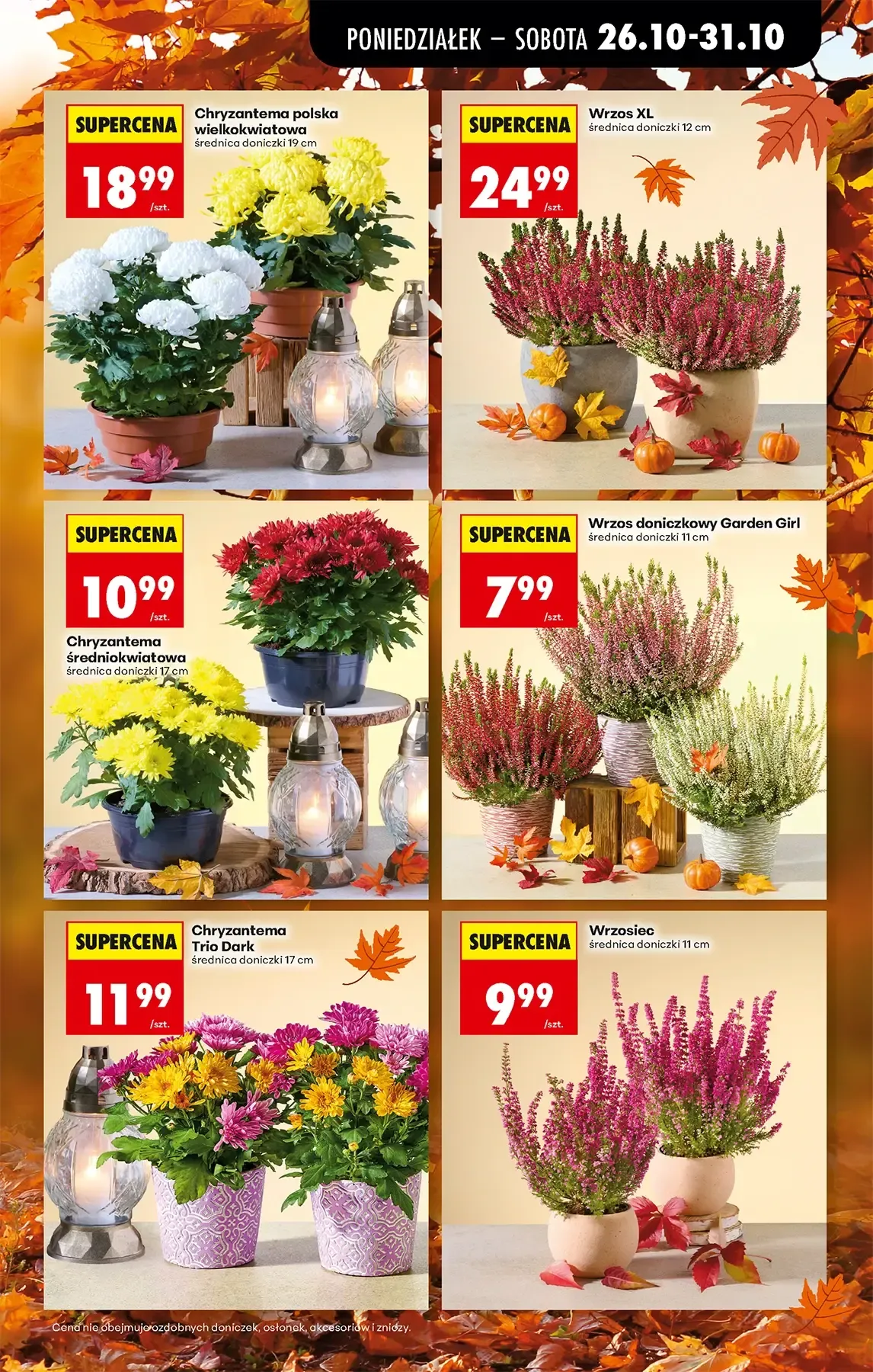 Gazetka promocyjna Biedronka str. 17