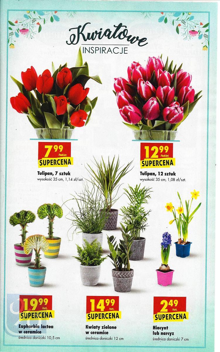 Gazetka promocyjna Biedronka str. 50