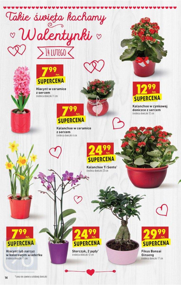 Gazetka promocyjna Biedronka str. 14