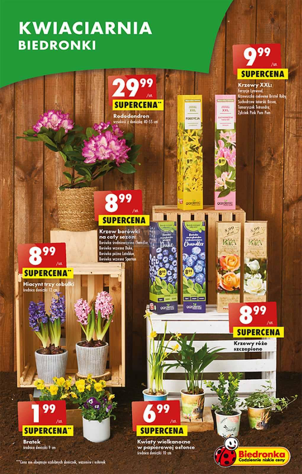 Gazetka promocyjna Biedronka str. 22