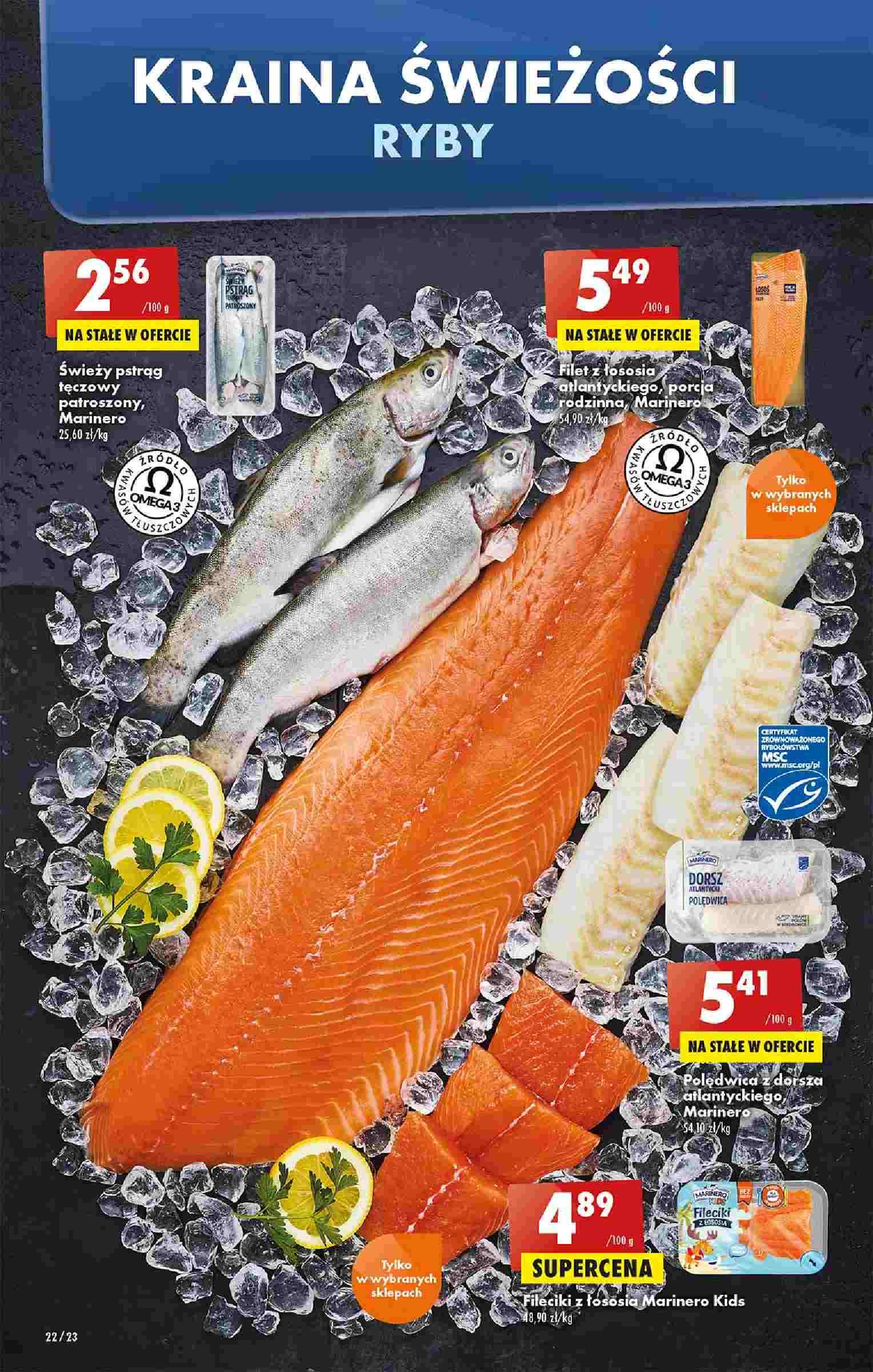 Gazetka promocyjna Biedronka str. 22