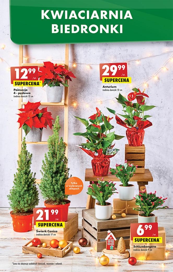 Gazetka promocyjna Biedronka str. 11