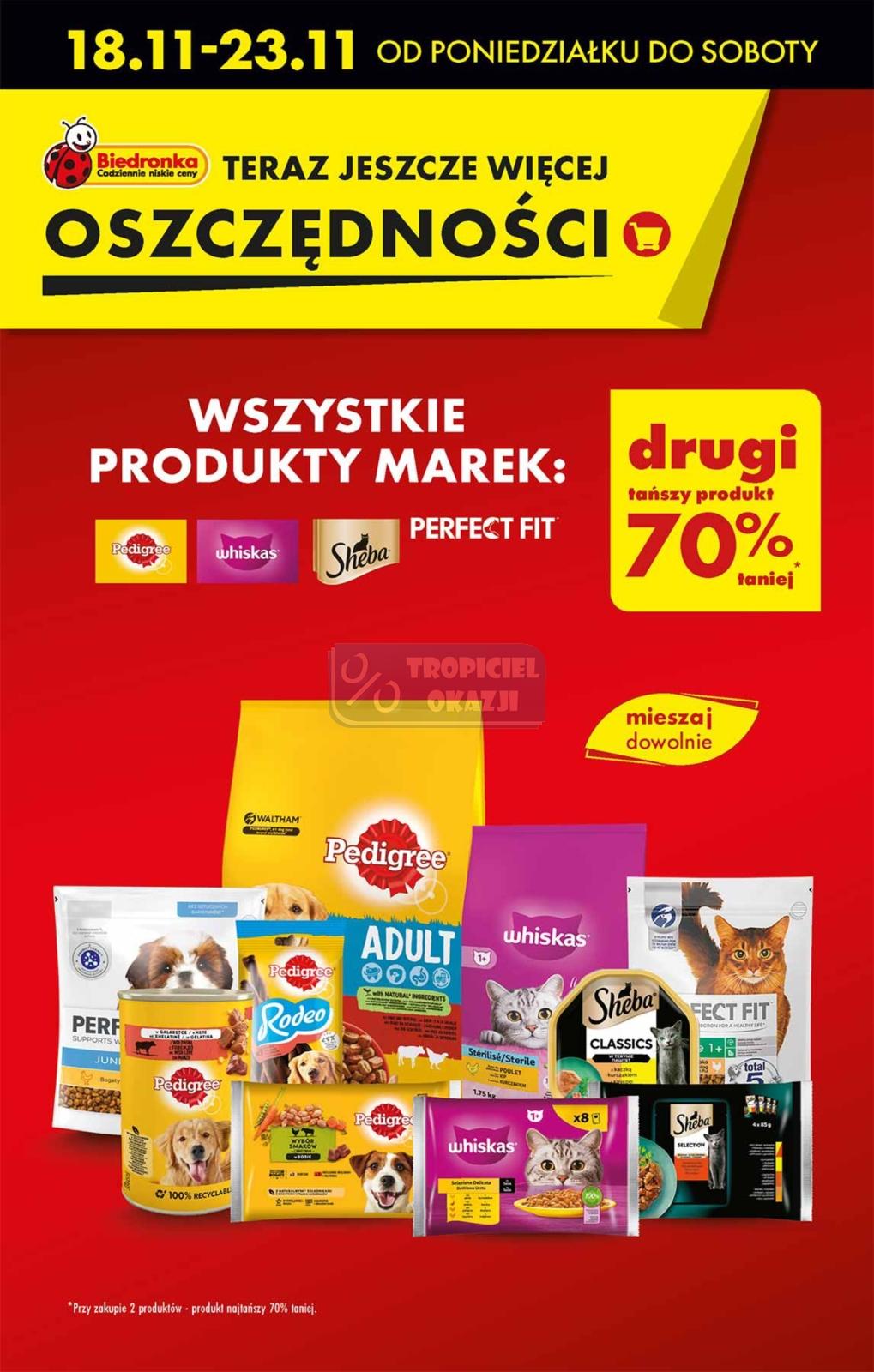 Gazetka promocyjna Biedronka str. 17