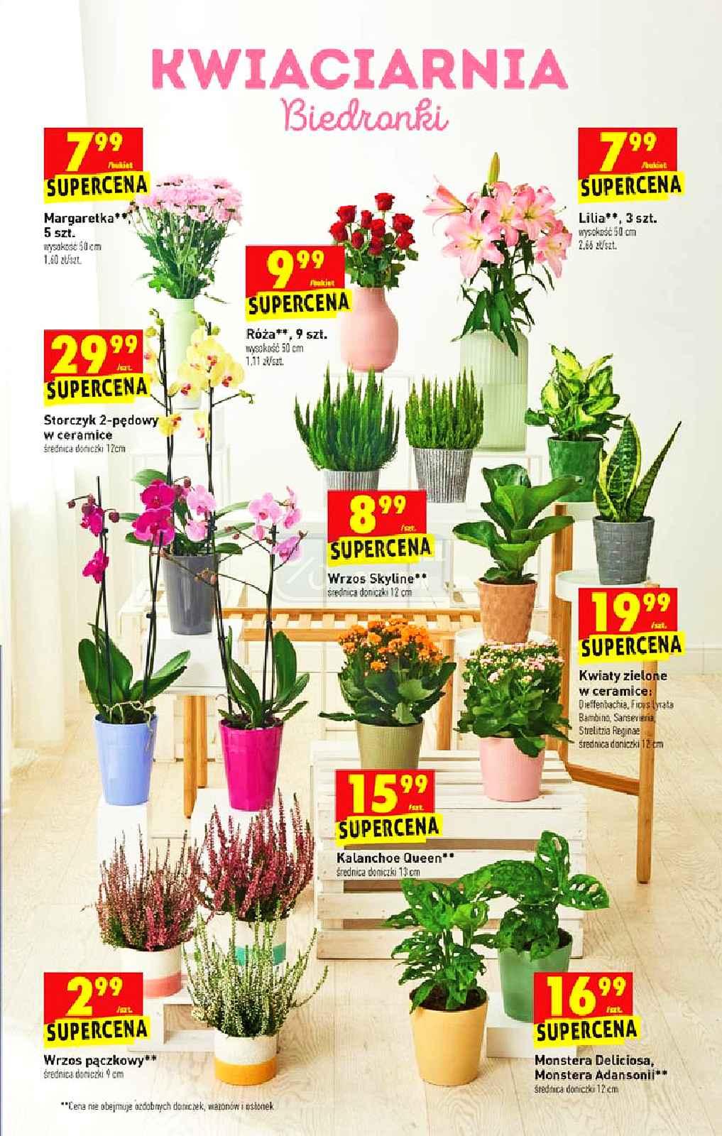 Gazetka promocyjna Biedronka str. 61