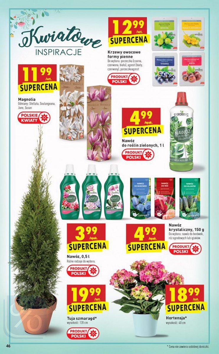 Gazetka promocyjna Biedronka str. 46