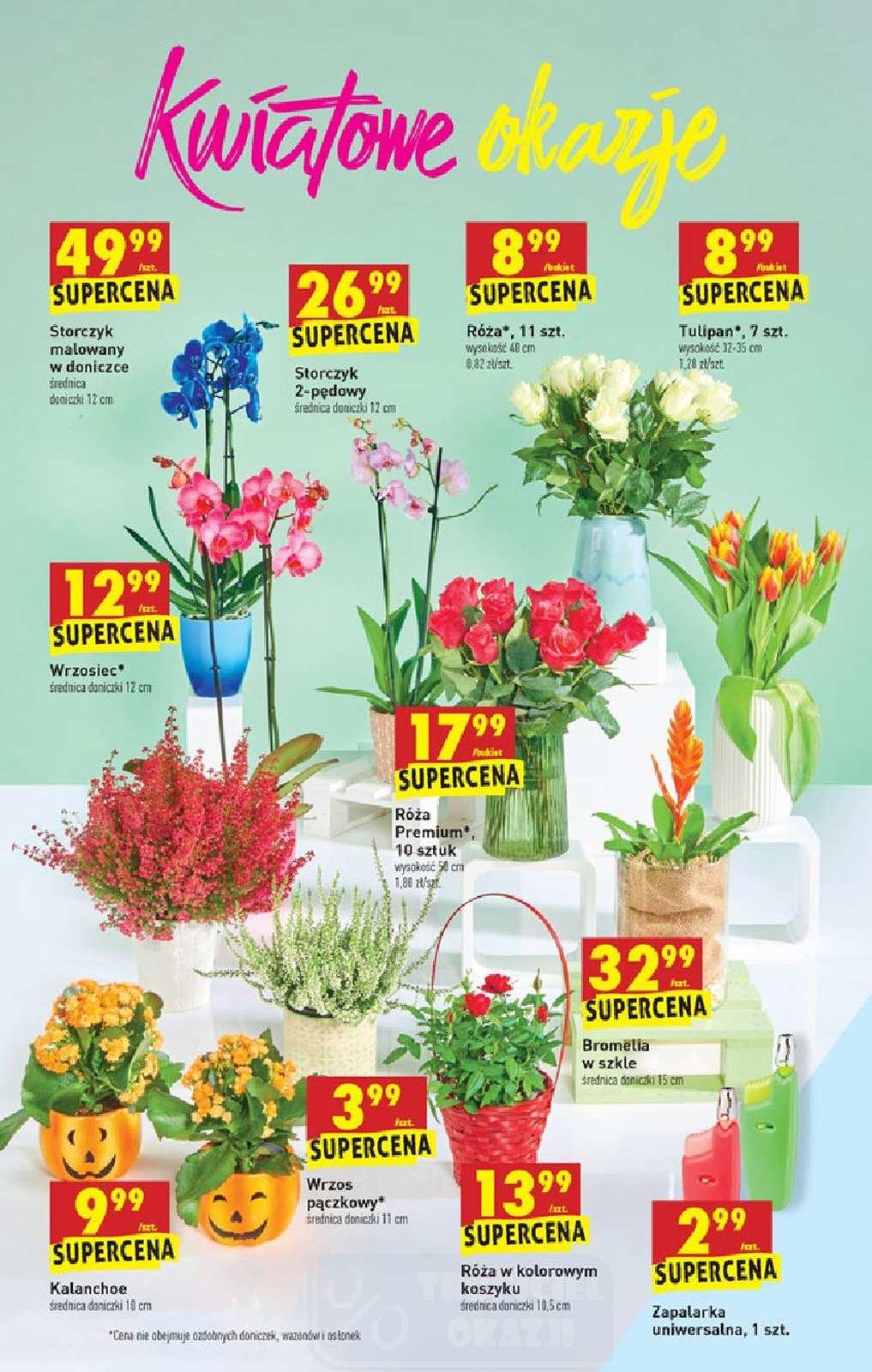 Gazetka promocyjna Biedronka str. 17