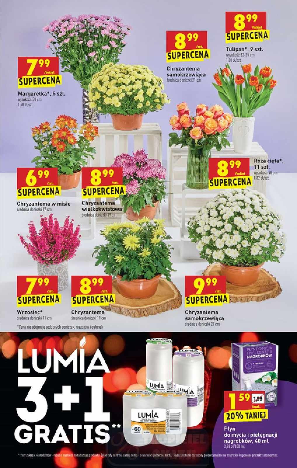 Gazetka promocyjna Biedronka str. 55