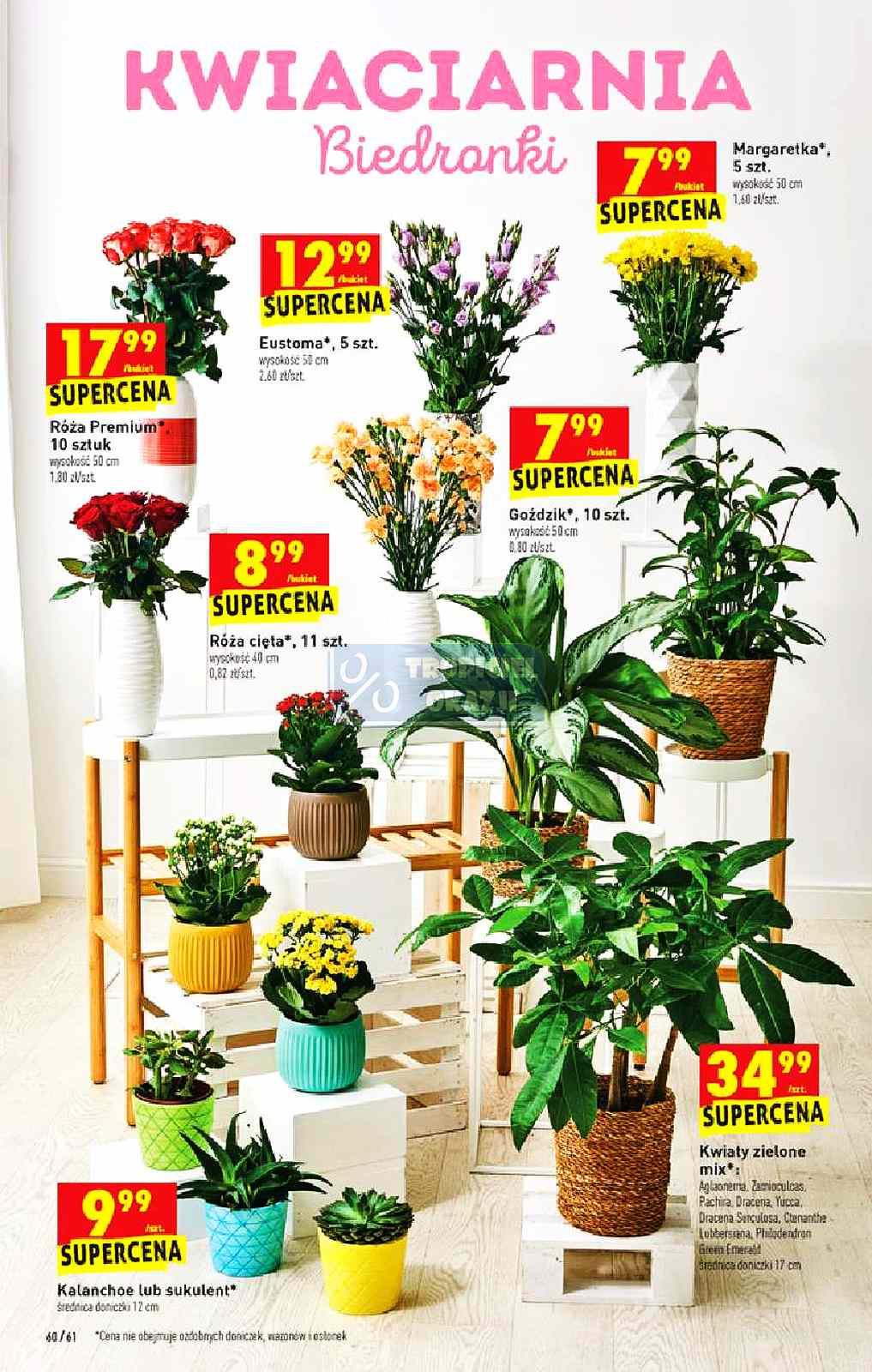 Gazetka promocyjna Biedronka str. 60