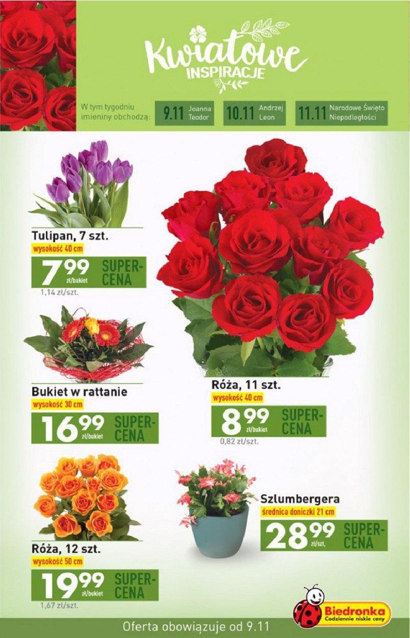 Gazetka promocyjna Biedronka str. 43