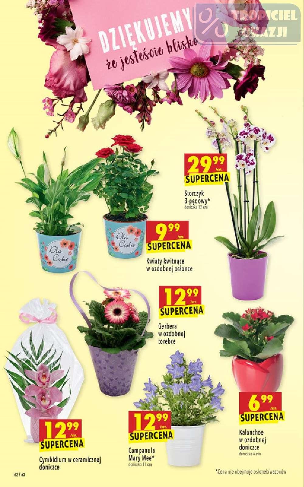 Gazetka promocyjna Biedronka str. 62