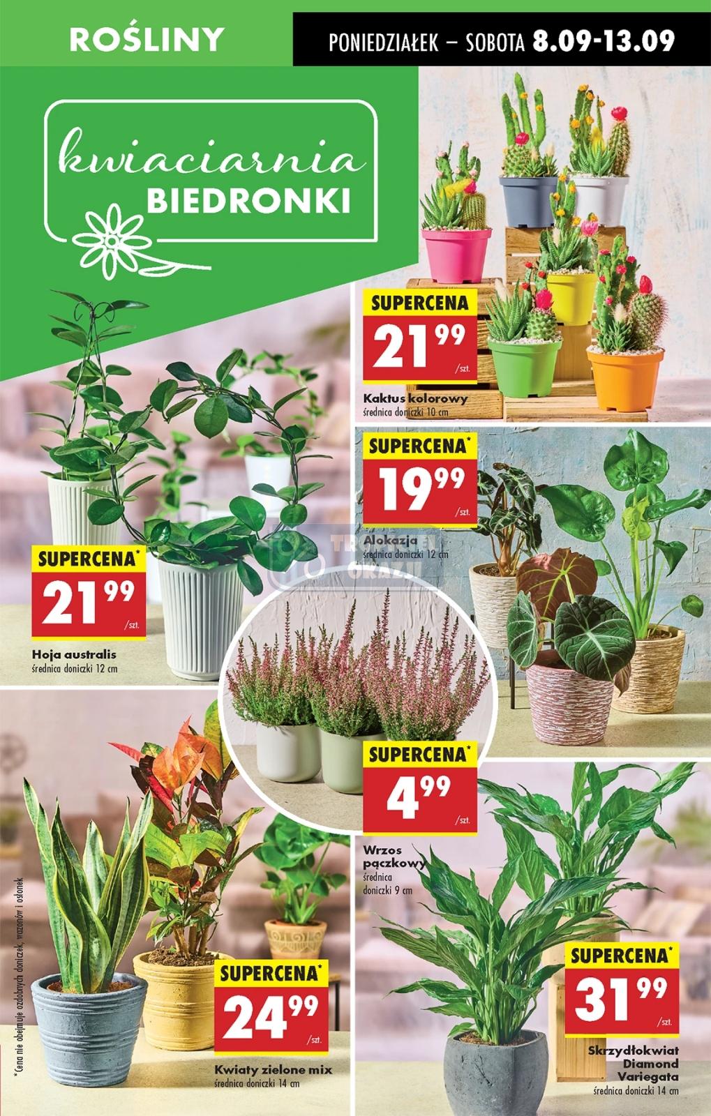 Gazetka promocyjna Biedronka str. 19