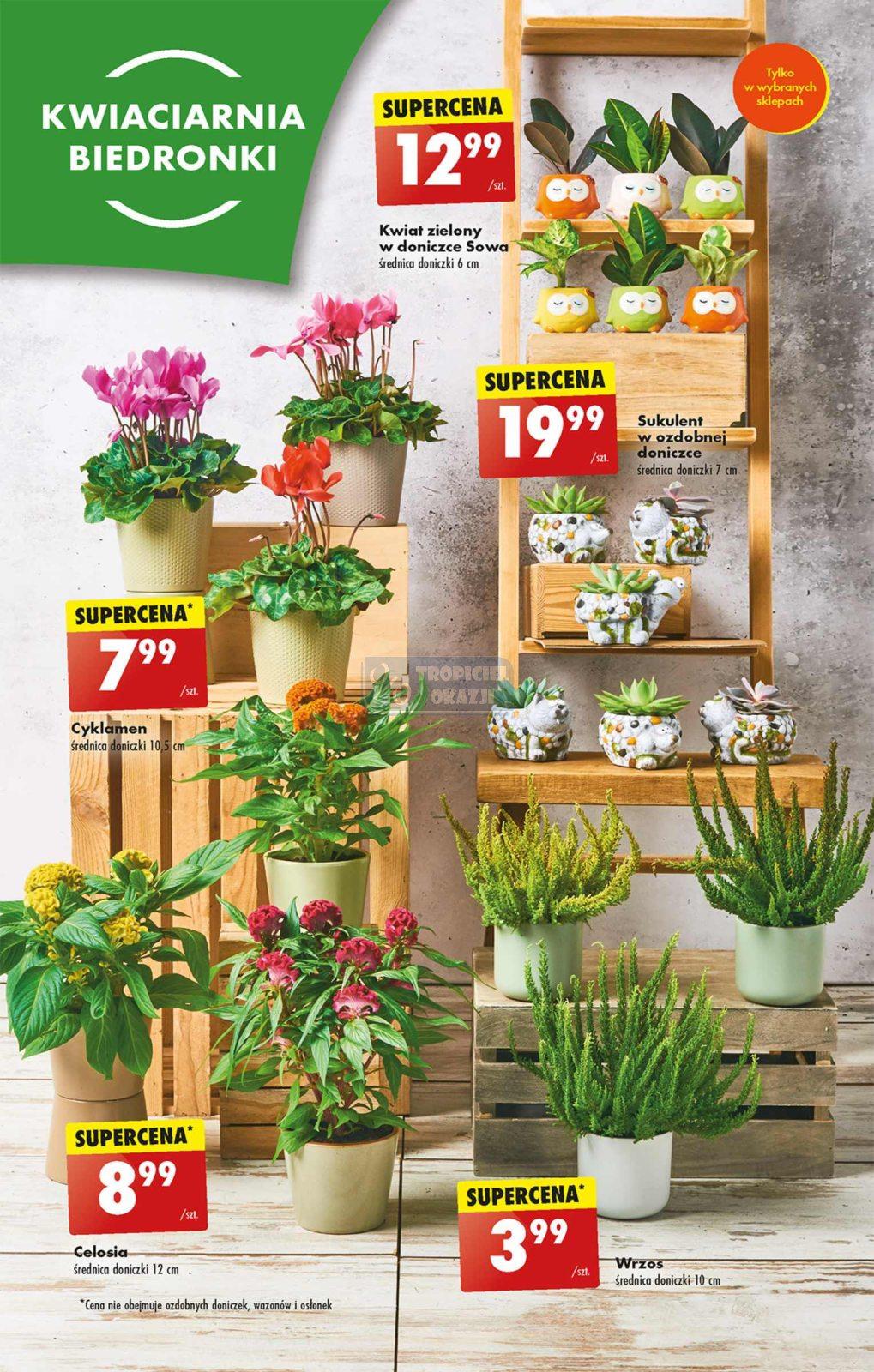 Gazetka promocyjna Biedronka str. 58