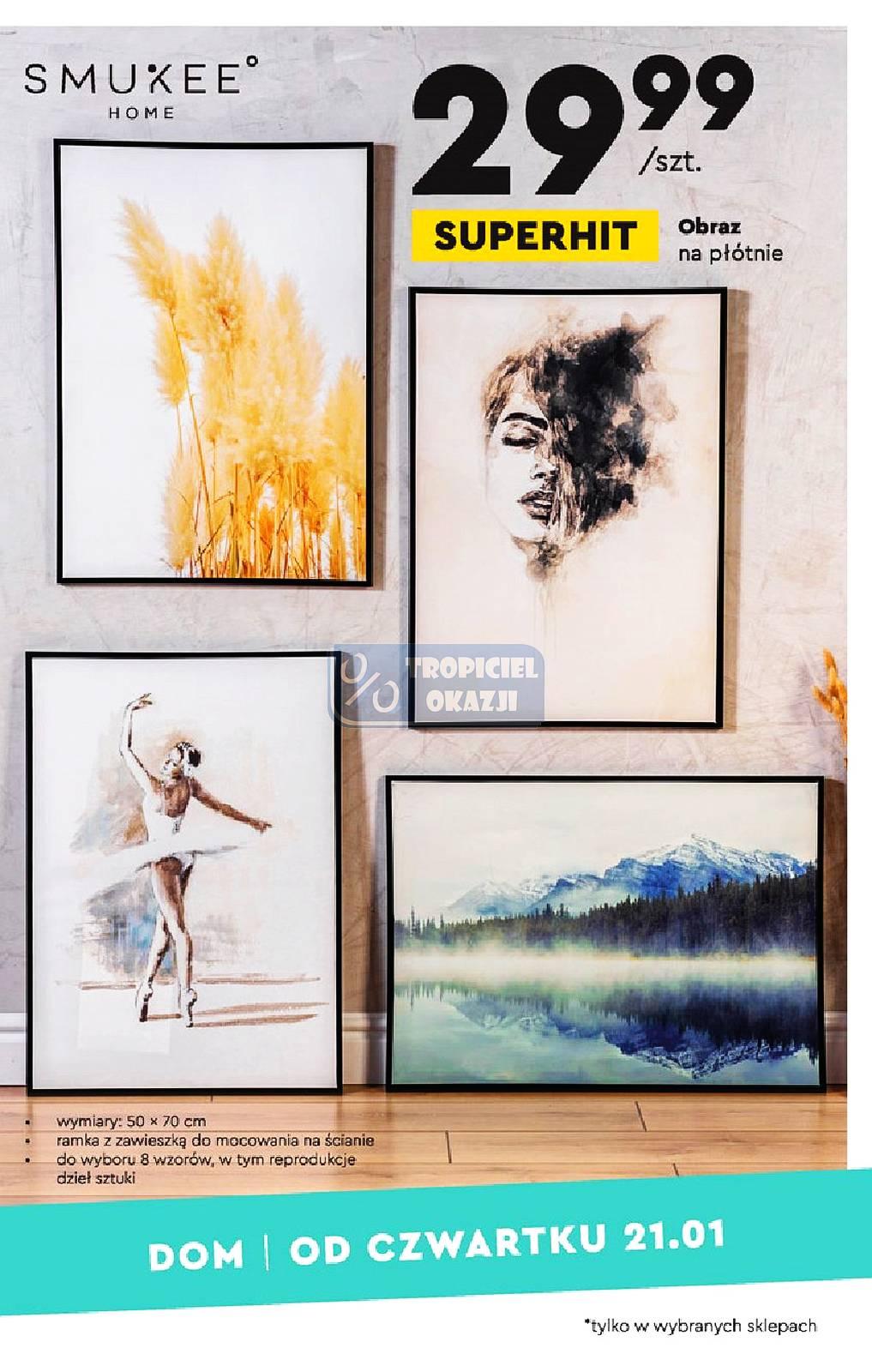 Gazetka promocyjna Biedronka str. 21