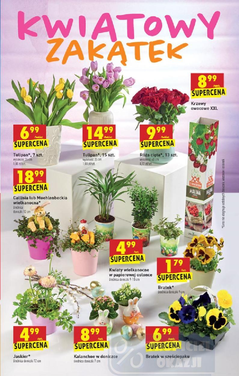 Gazetka promocyjna Biedronka str. 43