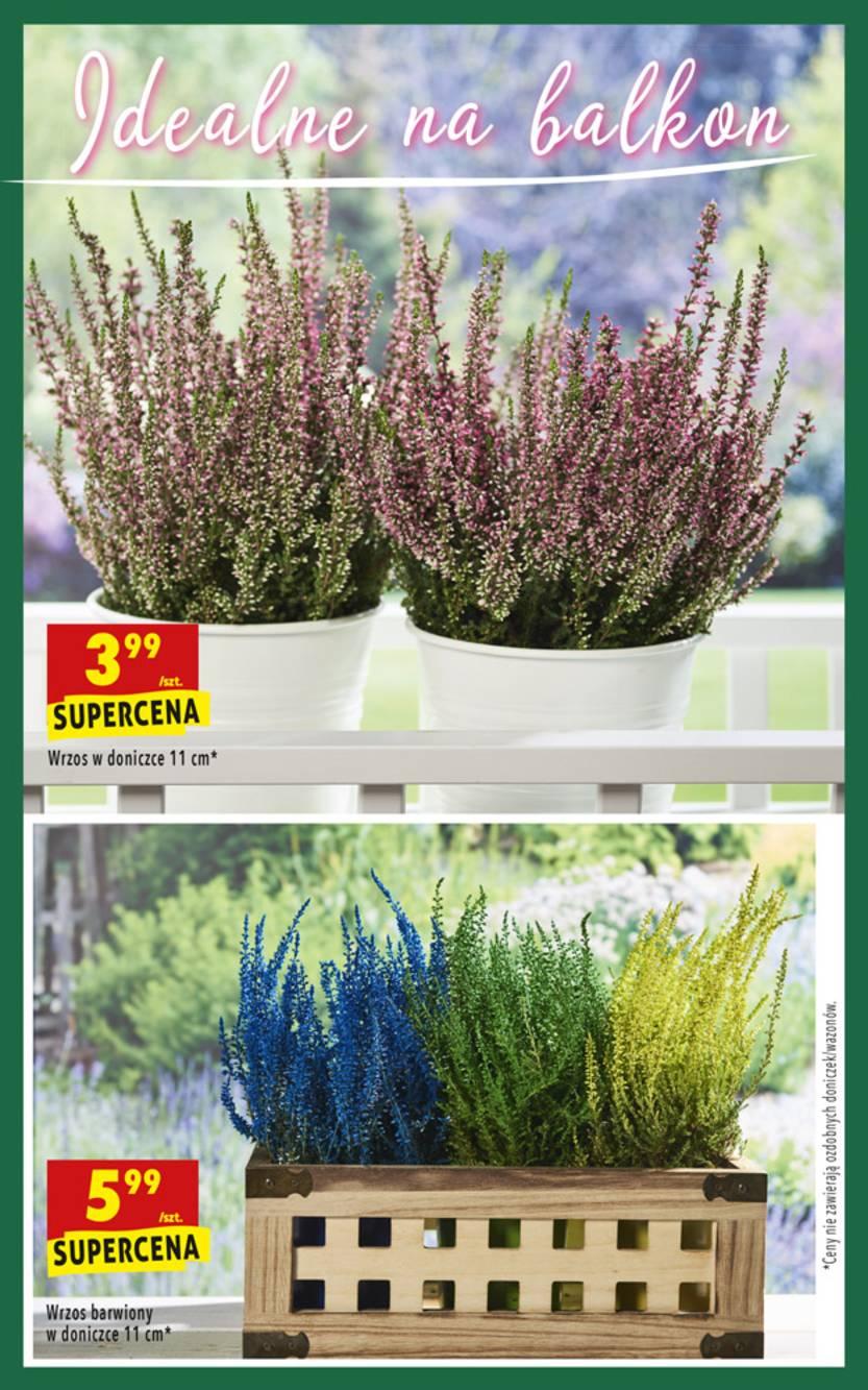 Gazetka promocyjna Biedronka str. 44