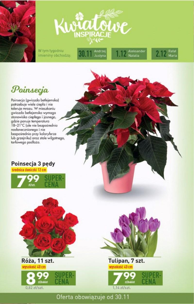 Gazetka promocyjna Biedronka str. 29