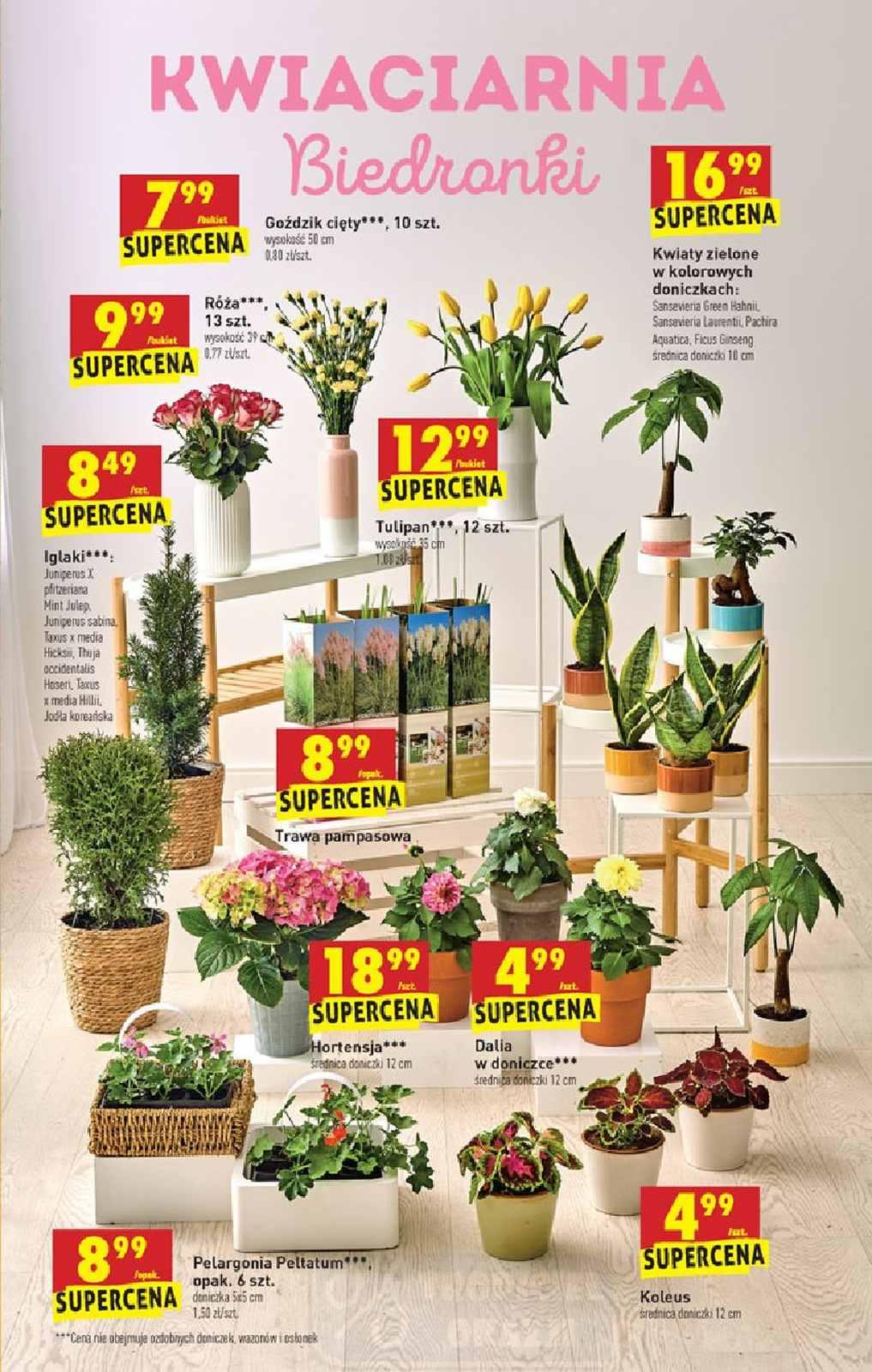 Gazetka promocyjna Biedronka str. 53