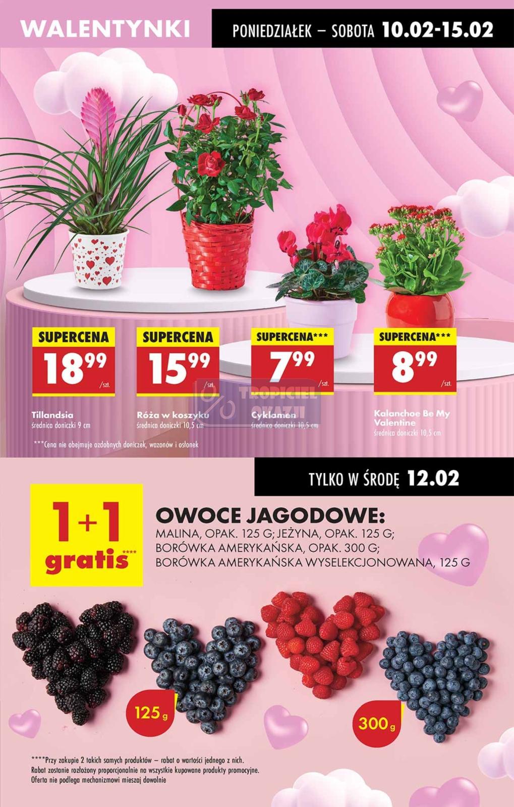 Gazetka promocyjna Biedronka str. 24