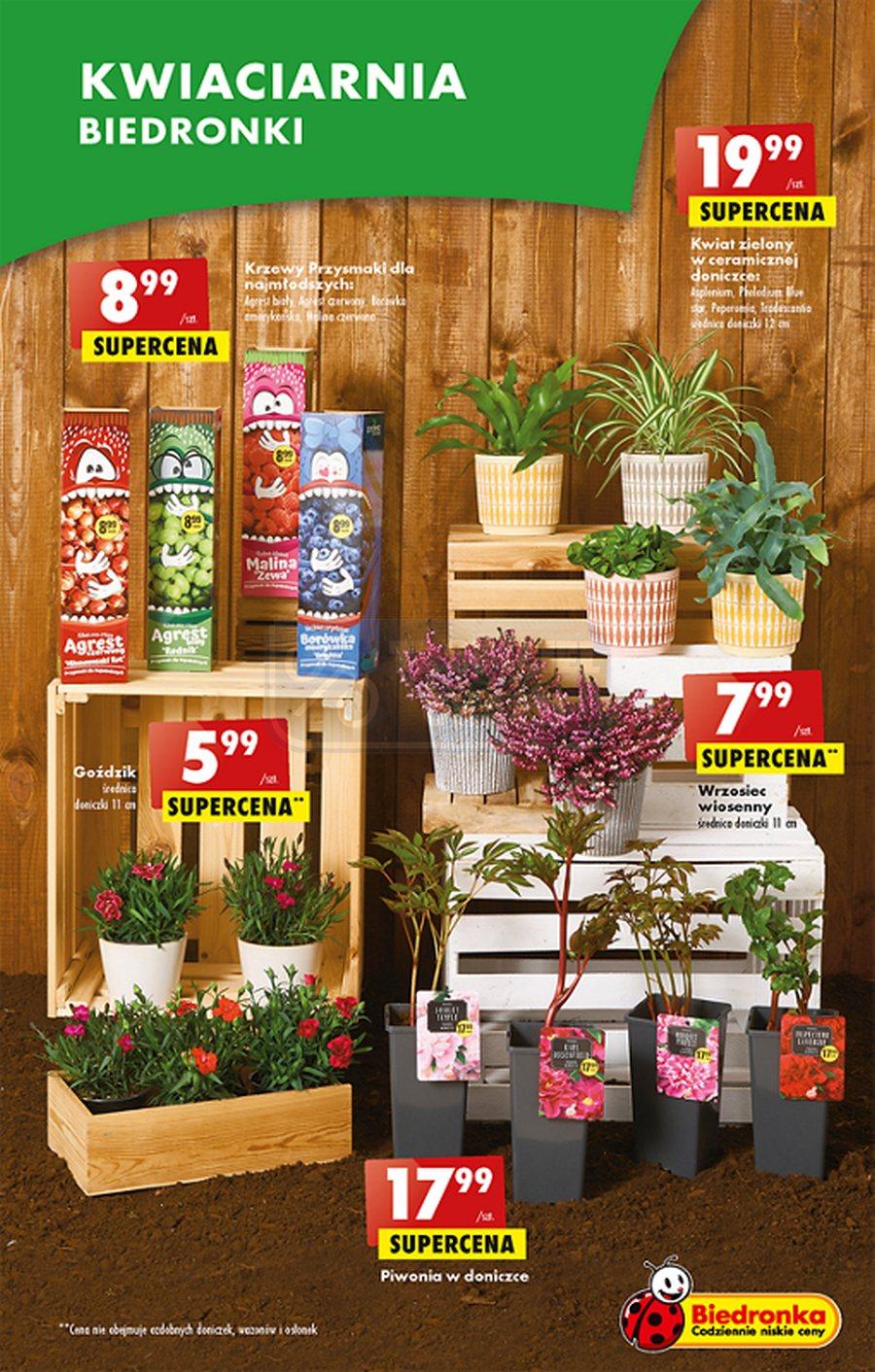 Gazetka promocyjna Biedronka str. 11