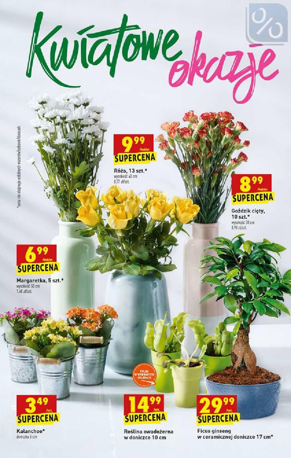 Gazetka promocyjna Biedronka str. 63