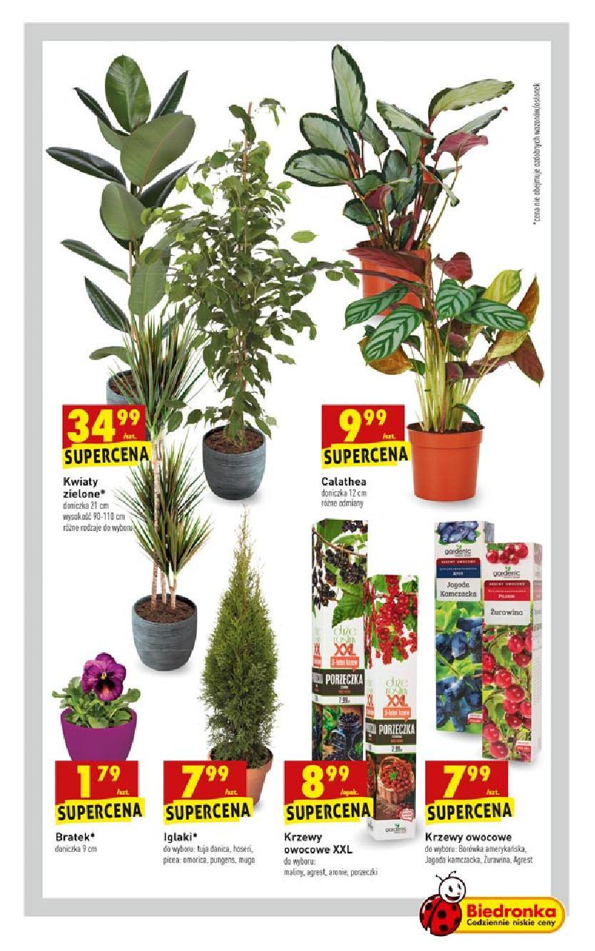 Gazetka promocyjna Biedronka str. 63