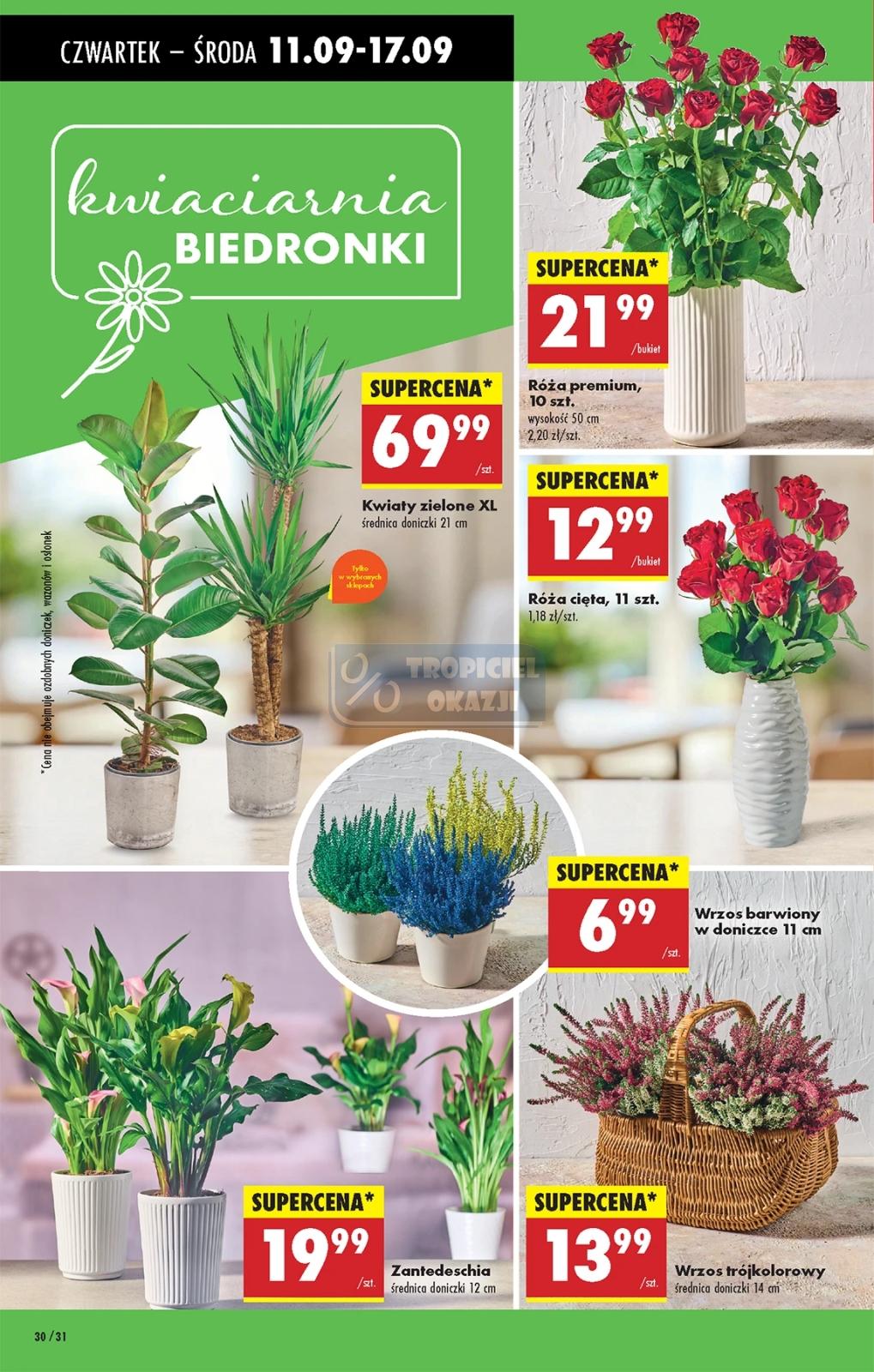 Gazetka promocyjna Biedronka str. 28