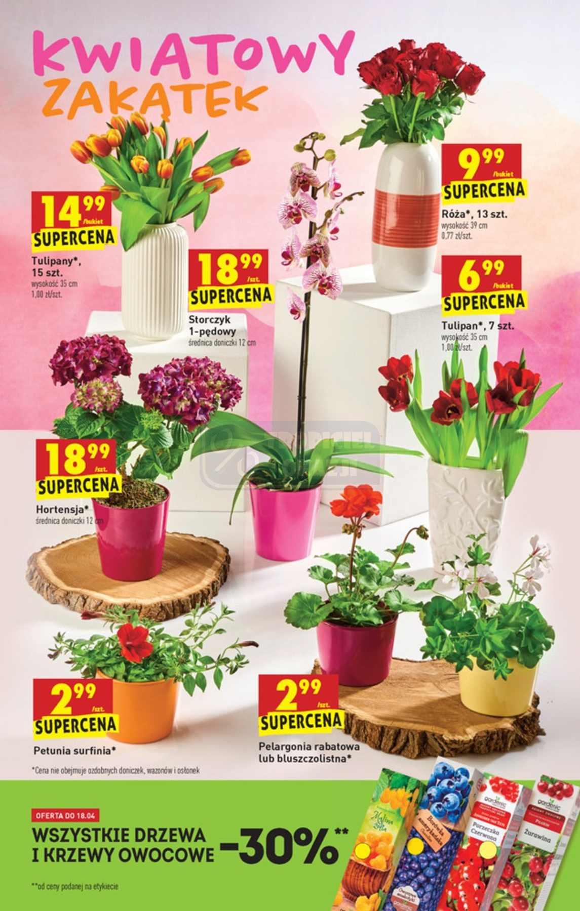 Gazetka promocyjna Biedronka str. 36