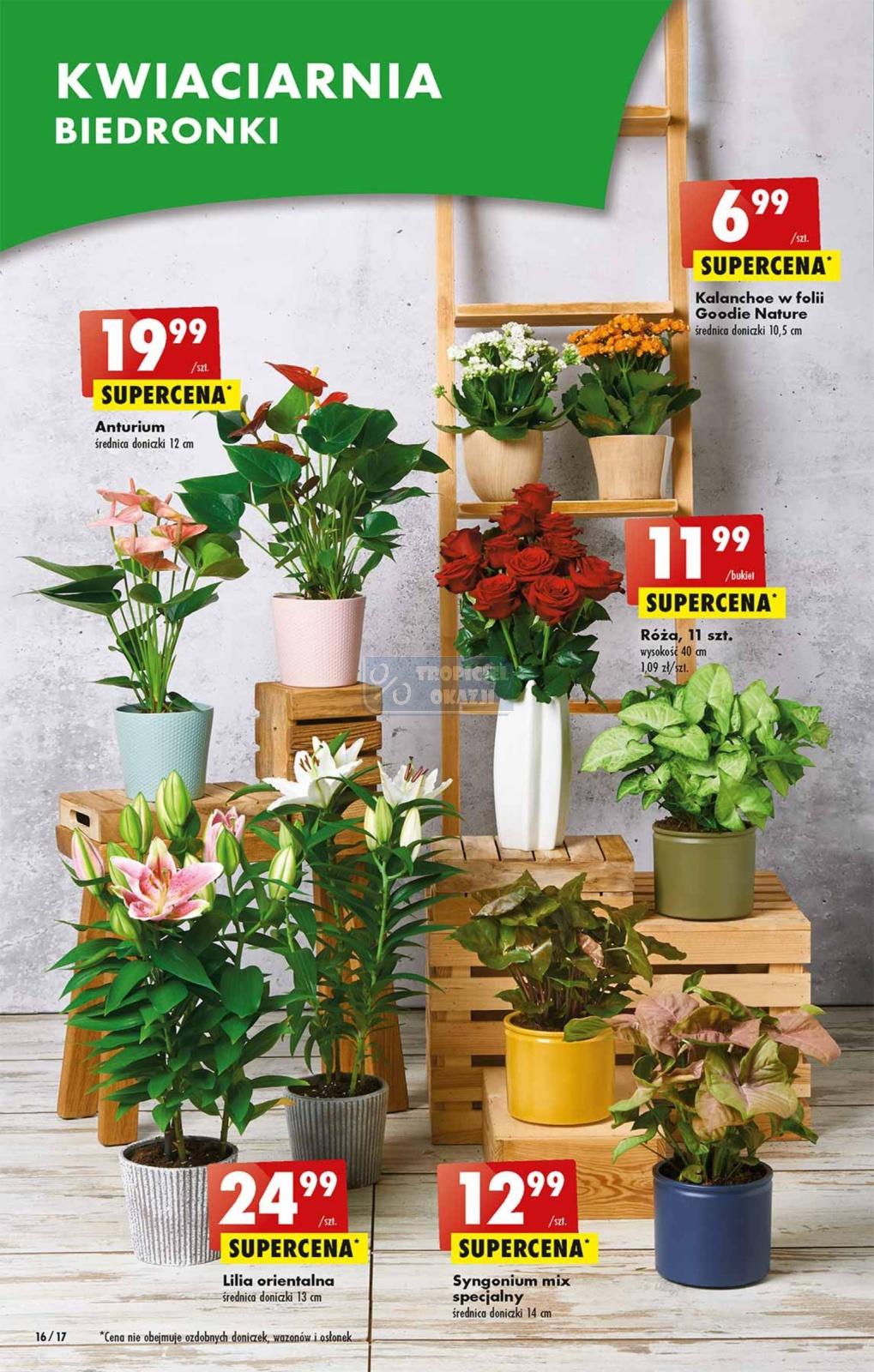 Gazetka promocyjna Biedronka str. 16