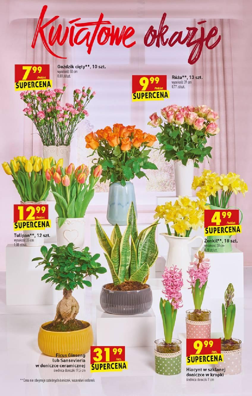 Gazetka promocyjna Biedronka str. 53