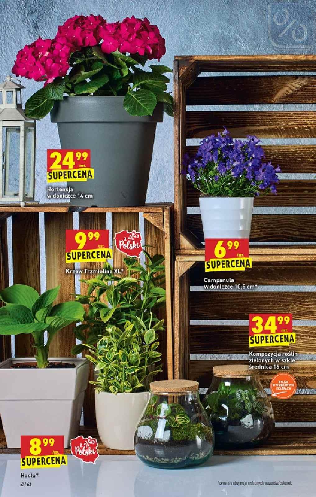 Gazetka promocyjna Biedronka str. 62