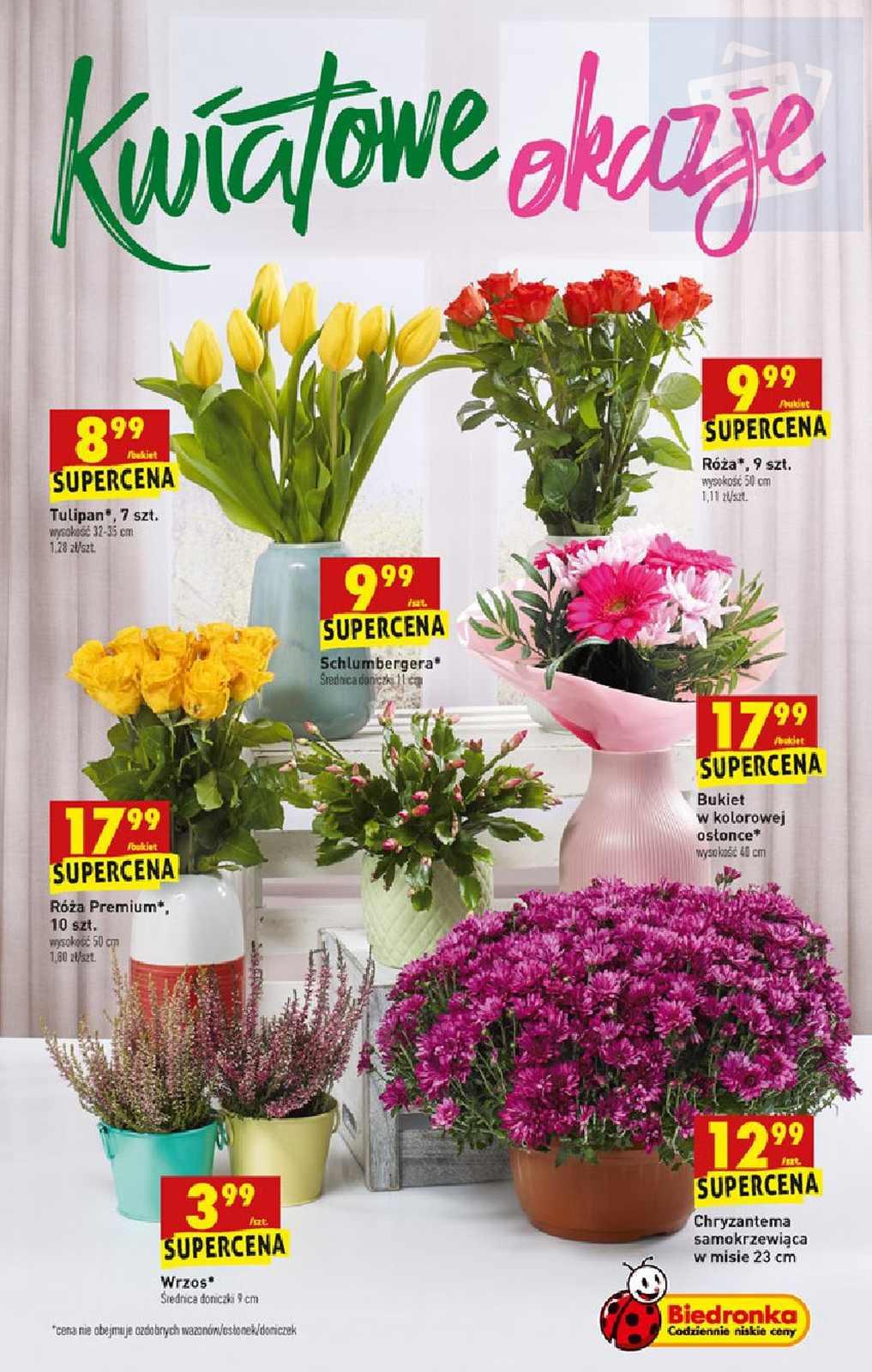 Gazetka promocyjna Biedronka str. 47