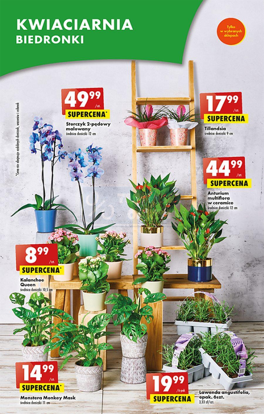 Gazetka promocyjna Biedronka str. 19