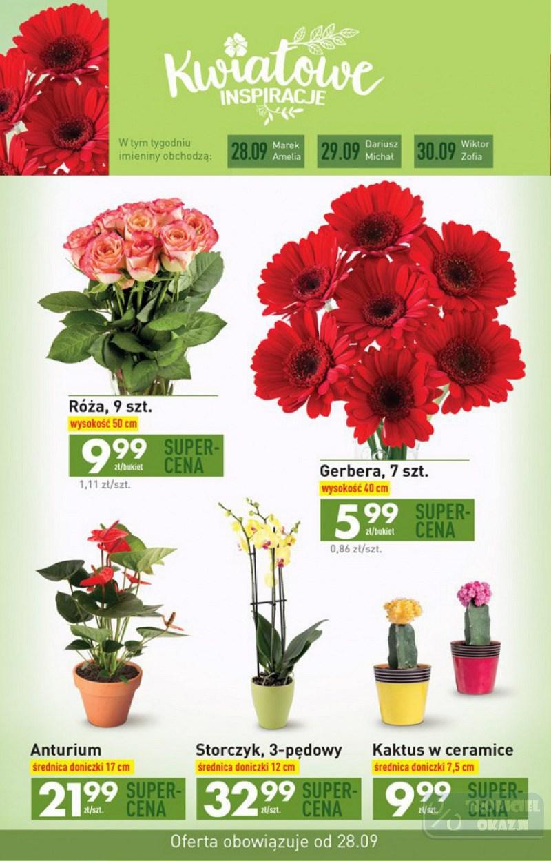 Gazetka promocyjna Biedronka str. 44