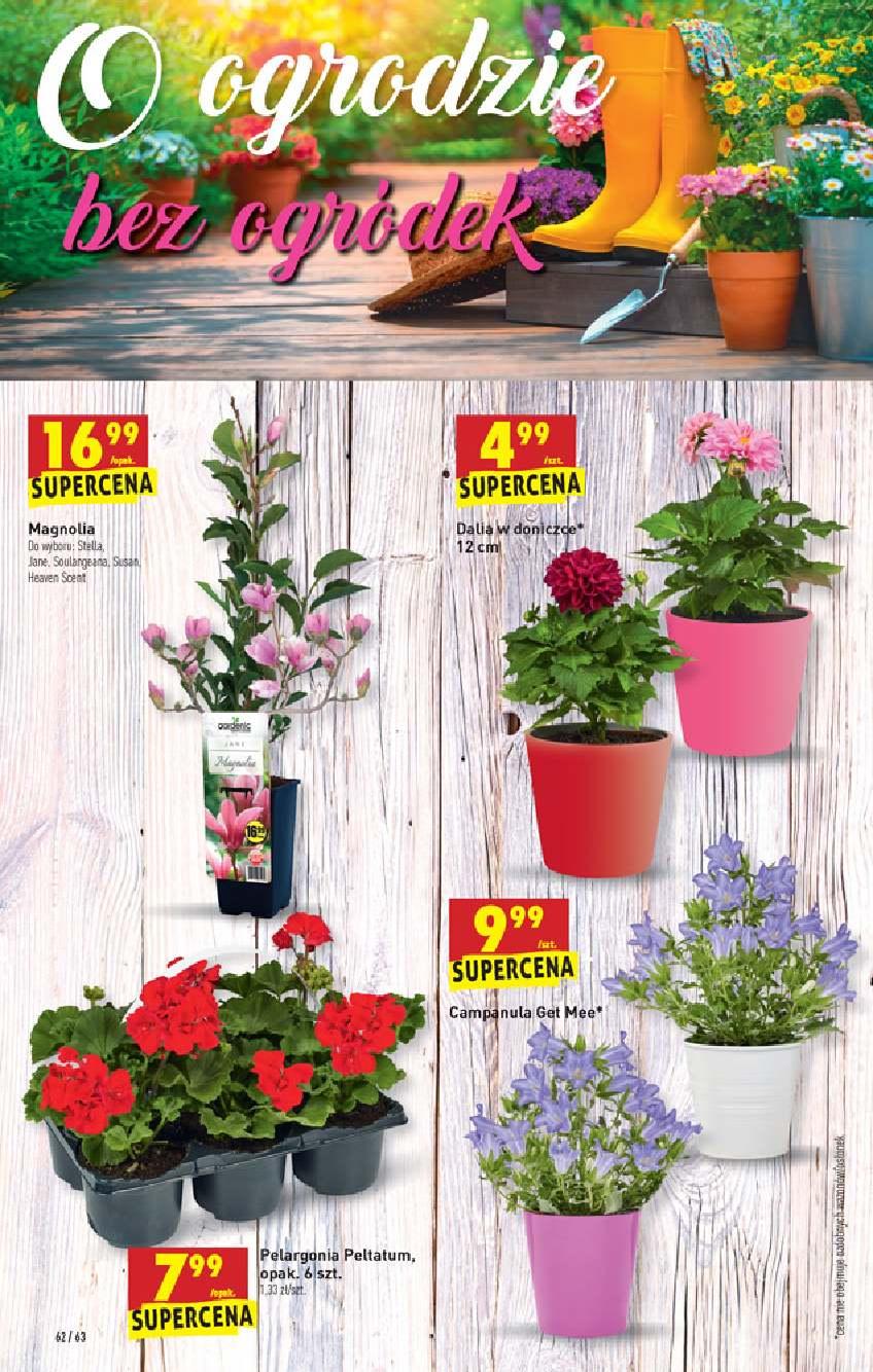 Gazetka promocyjna Biedronka str. 62