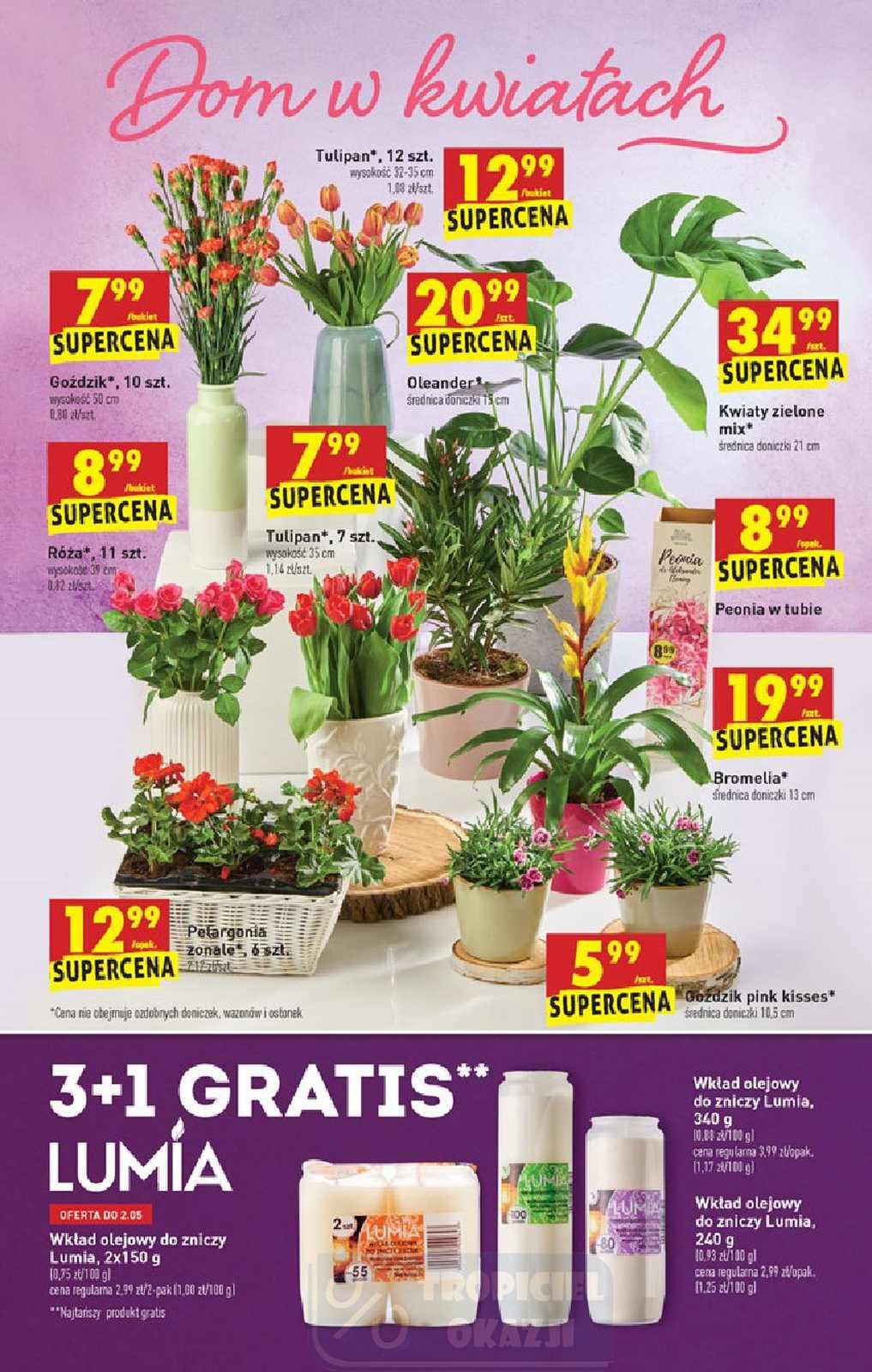 Gazetka promocyjna Biedronka str. 36