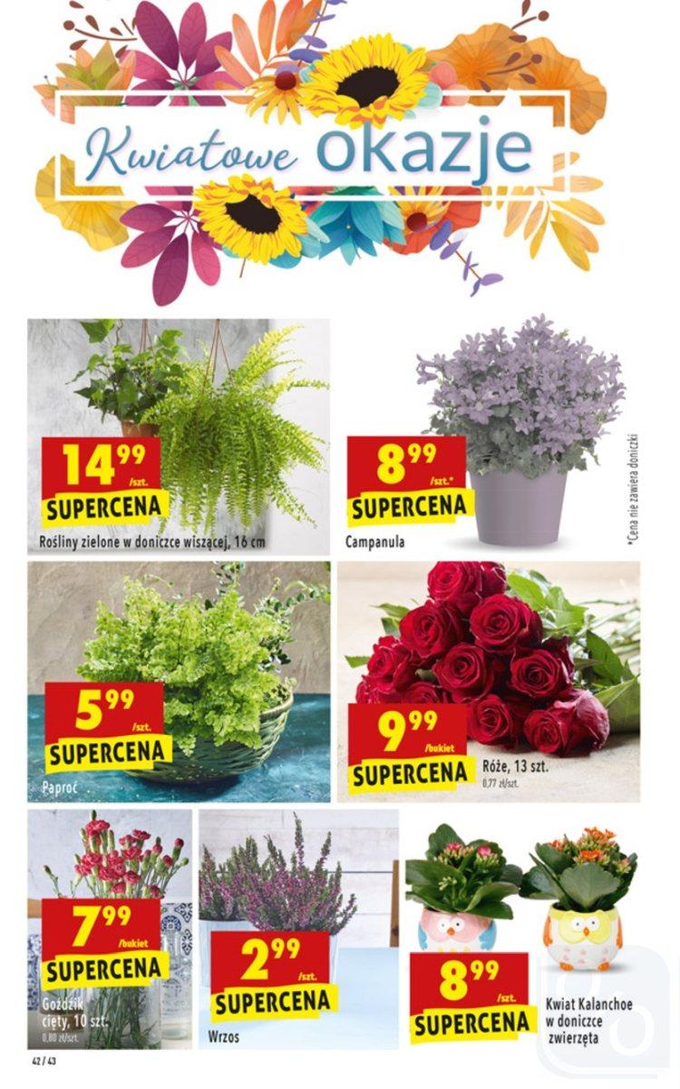Gazetka promocyjna Biedronka str. 42