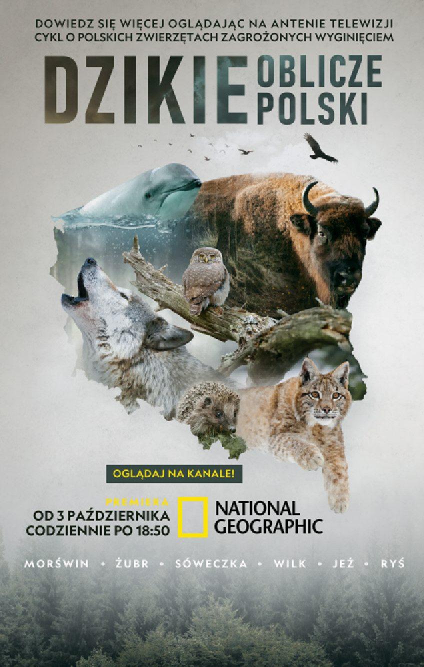 Gazetka promocyjna Biedronka str. 15