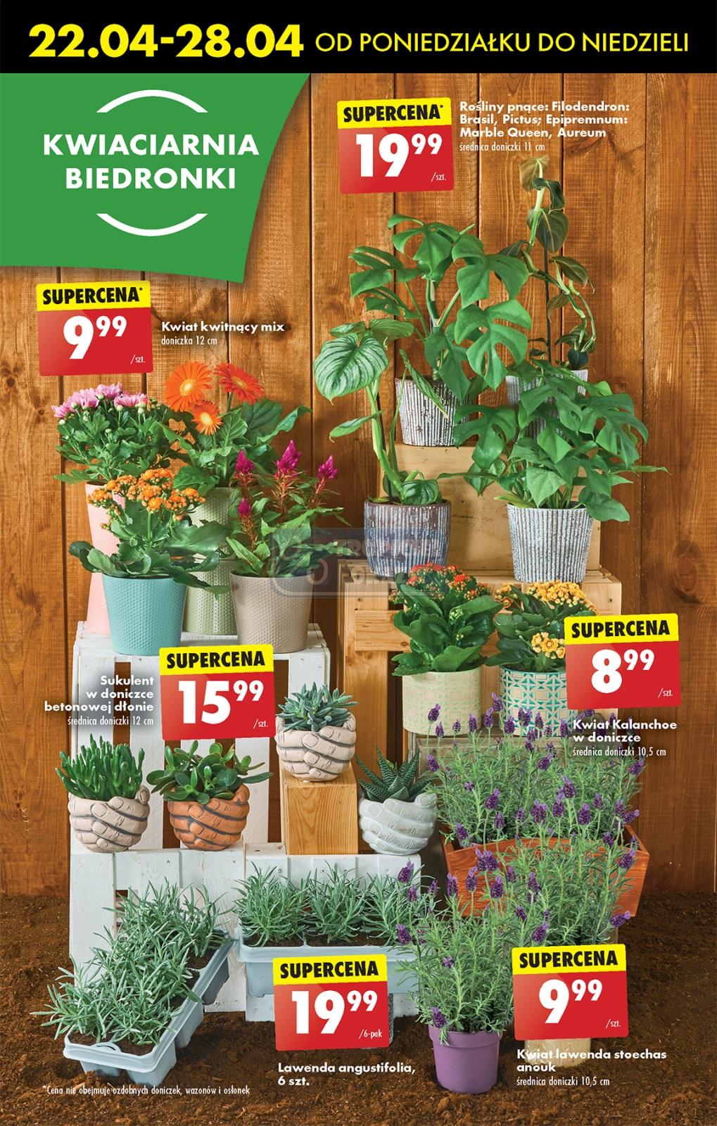 Gazetka promocyjna Biedronka str. 56