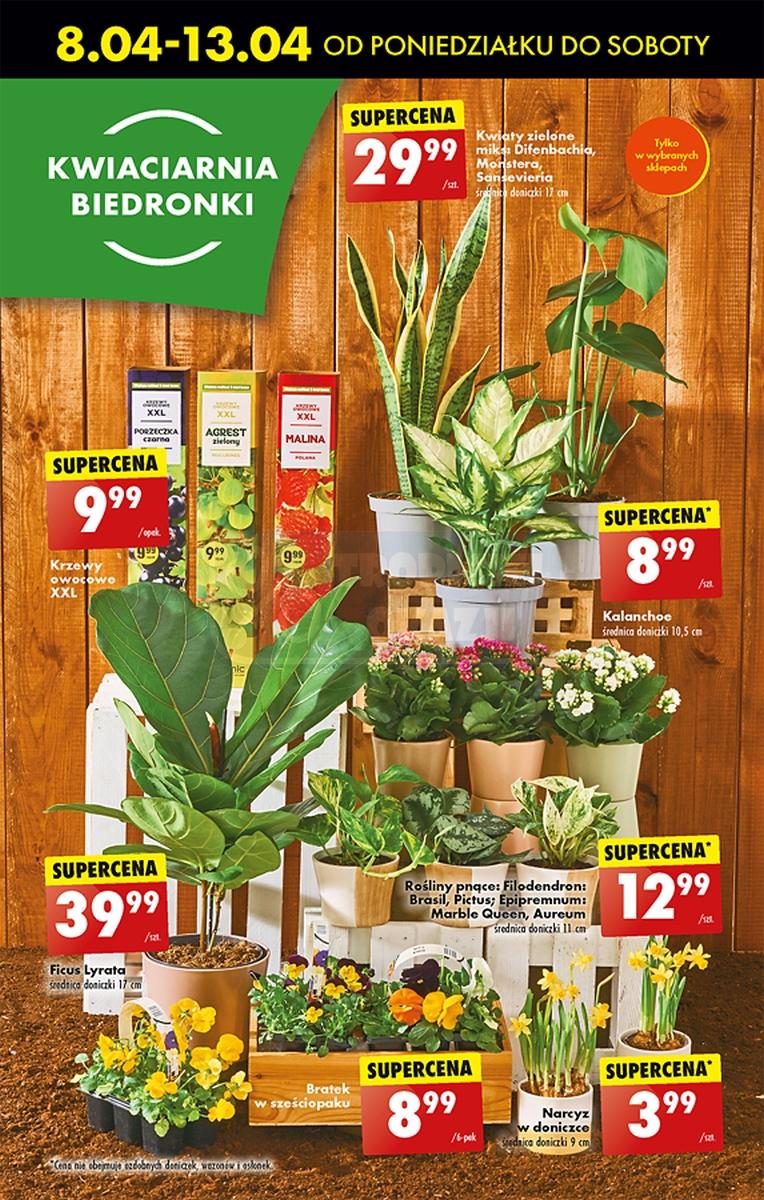 Gazetka promocyjna Biedronka str. 50