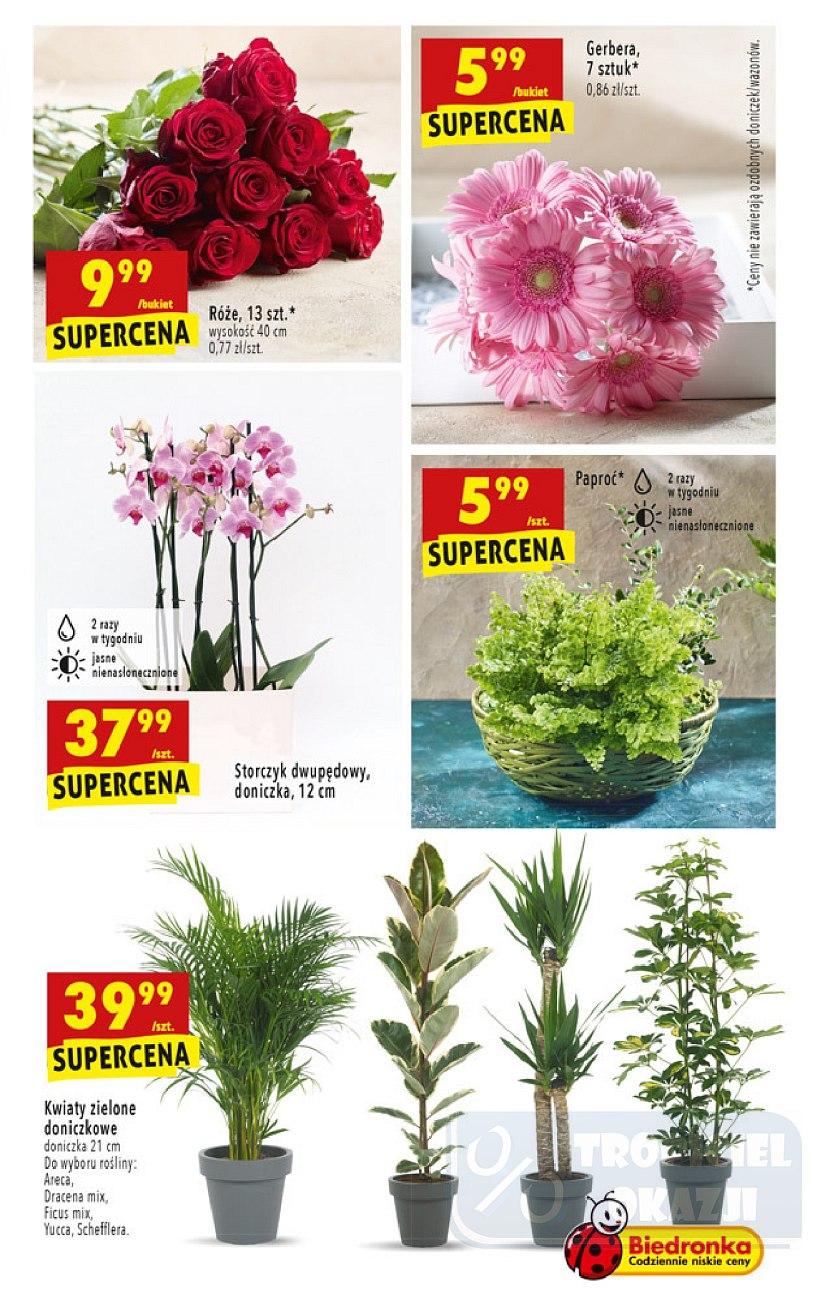 Gazetka promocyjna Biedronka str. 47