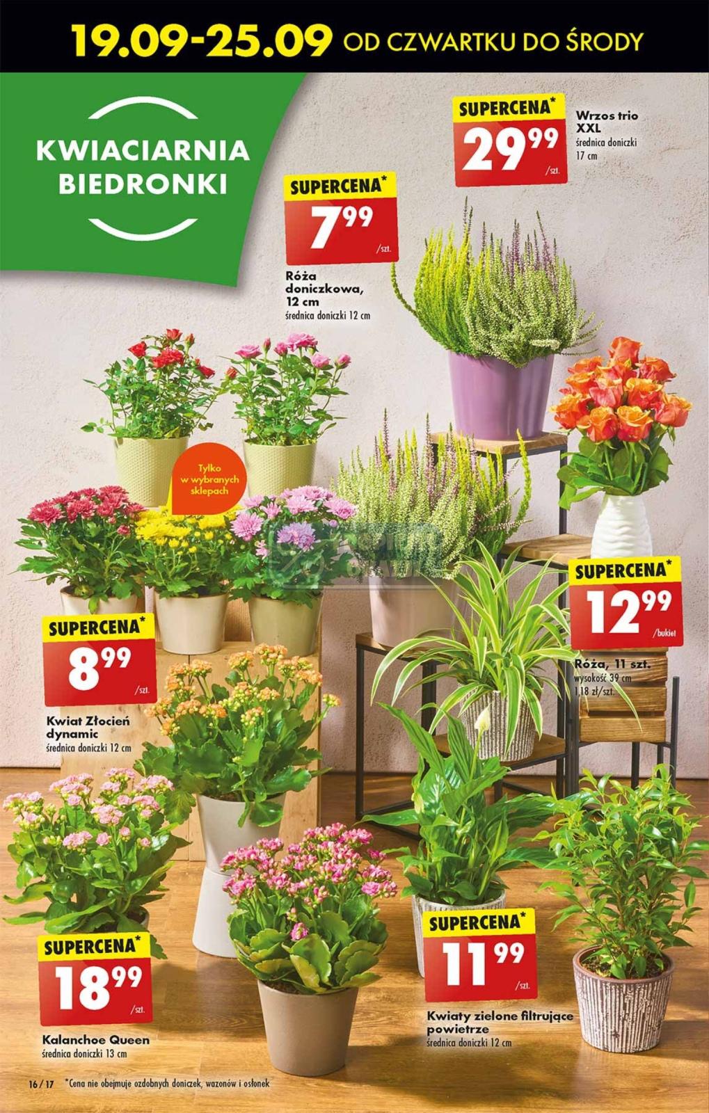 Gazetka promocyjna Biedronka str. 16